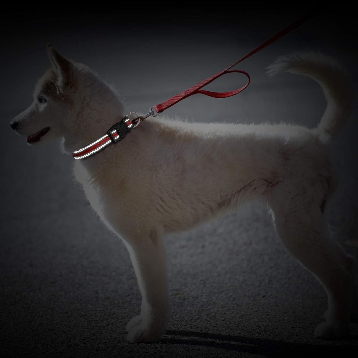 3 Pieces Reflective Dog Collar Nylon Adjustable Quick Release Pet Collars for Dogs(Medium)