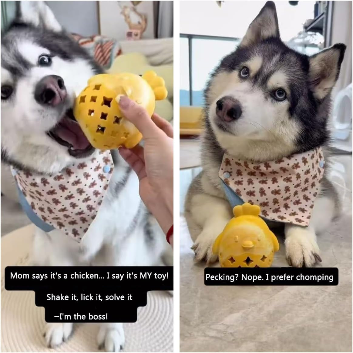 Stuffed Dog Toy Treat Dispenser Dog Toy Puzzle Rubber Chew Toys Treat Food Dispensing Toys for Teeth Cleaning Ball Interactive Enrichment Toys for Puppy, Small, Medium, Large Breeds