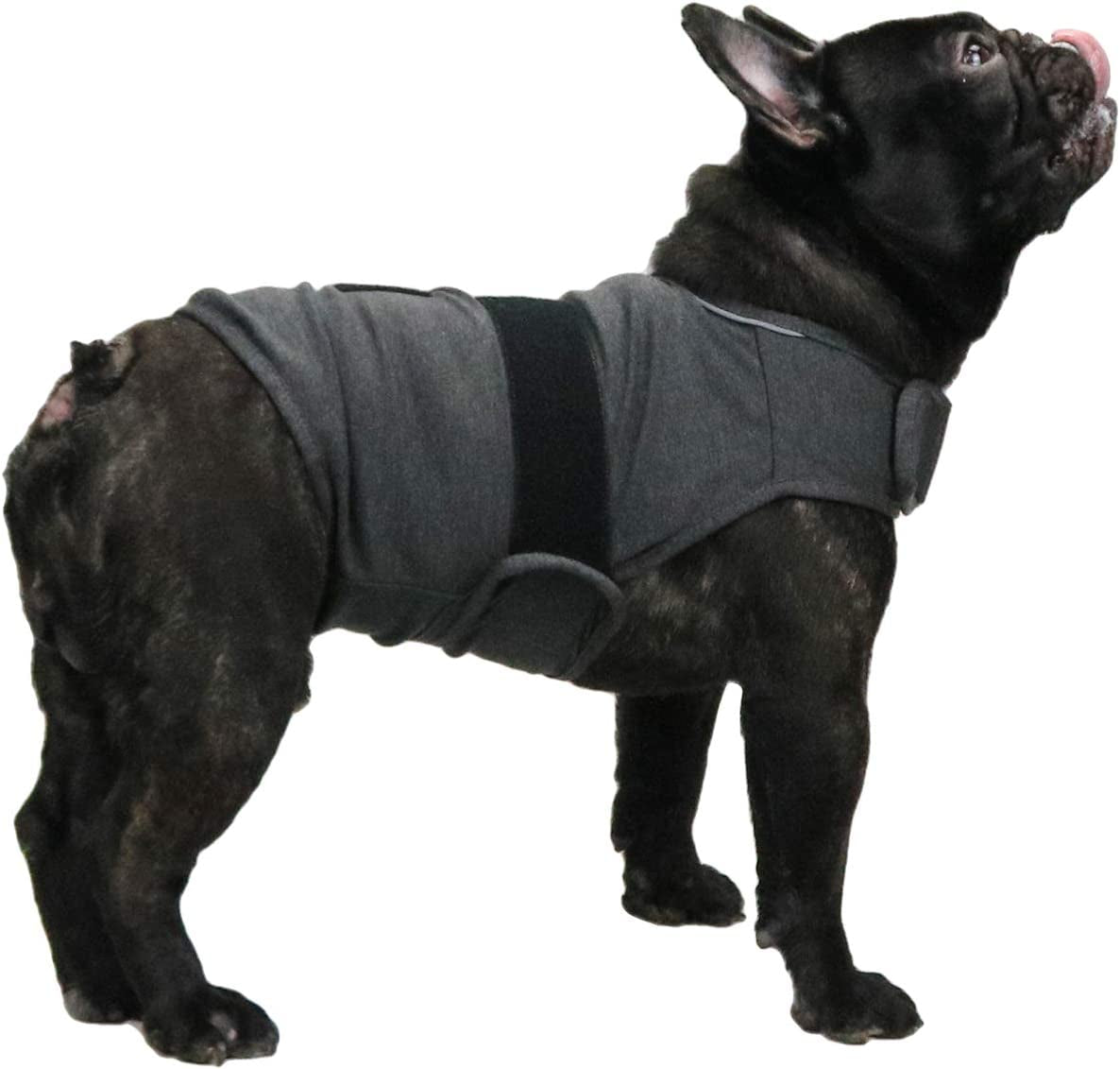 Comfort Dog Anxiety Relief Coat, Dog Anxiety Calming Vest Wrap for Thunderstorm,Travel,4Th of July Fireworks,Vet Visits,Separation Anxiety Relief for Dogs (M,Grey)