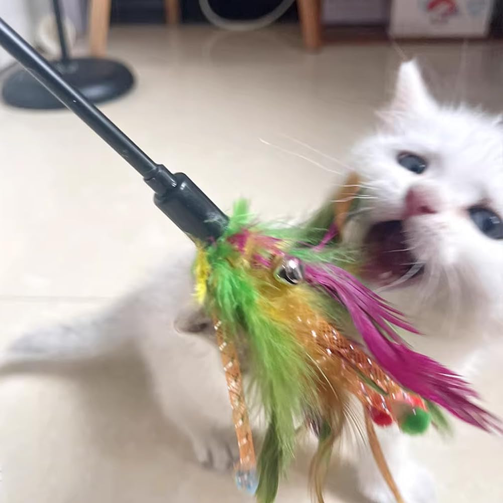 Cat Wands, 6 PCS Natural Feather Stick Interactive Kitten Toys with Bell Safe Cat Teaser Wand for Indoor, All Breed Sizes