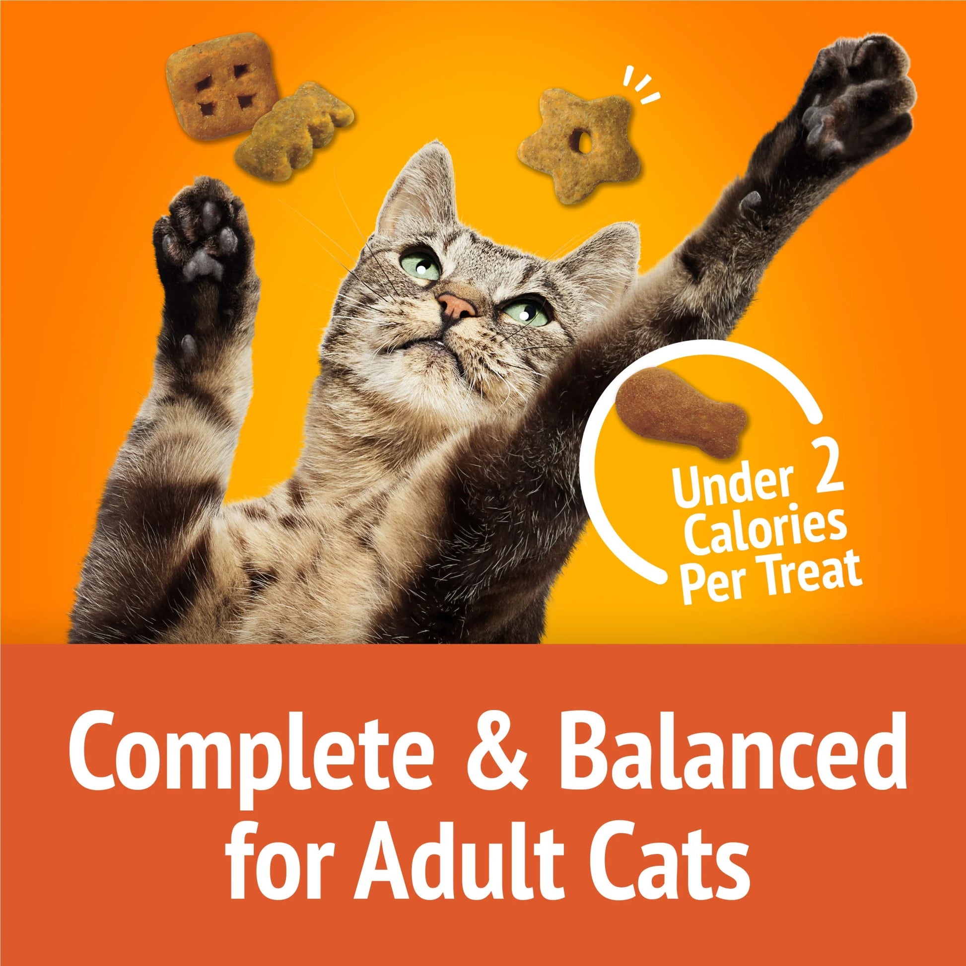 (2 Pack)   Party Mix Cat Treats, Original Crunch Snacks, 30 Oz. Canister