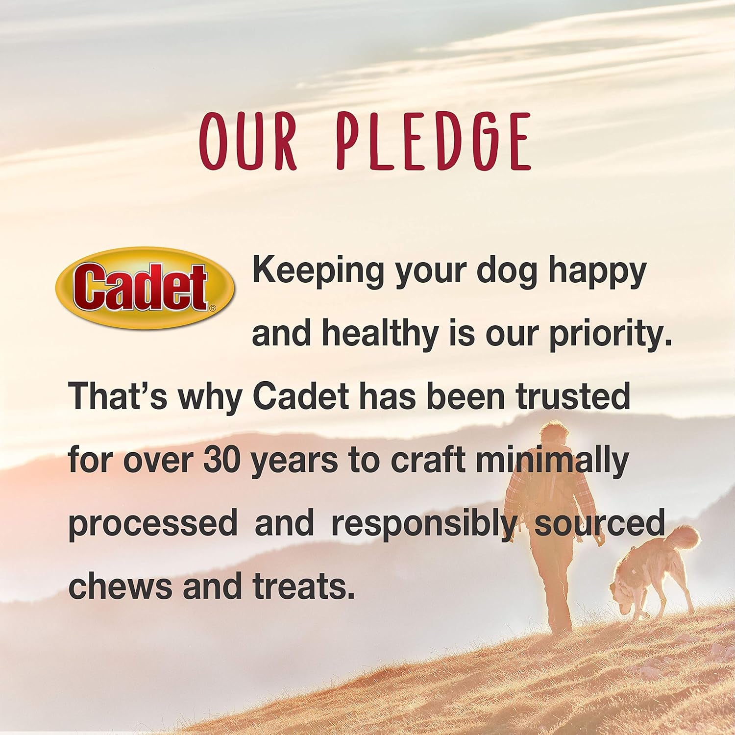 Gourmet Duck Breast Jerky Dog Treats, Healthy, Long-Lasting High-Protein Training Treats for Small & Large Dogs, 40 Oz.