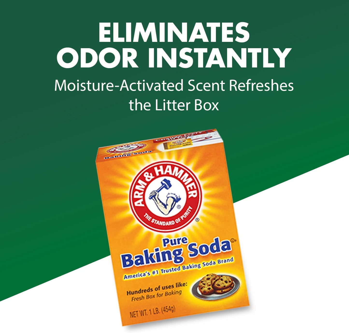Cat Litter Deodorizer Double Duty, 20 Oz, 1 Pack