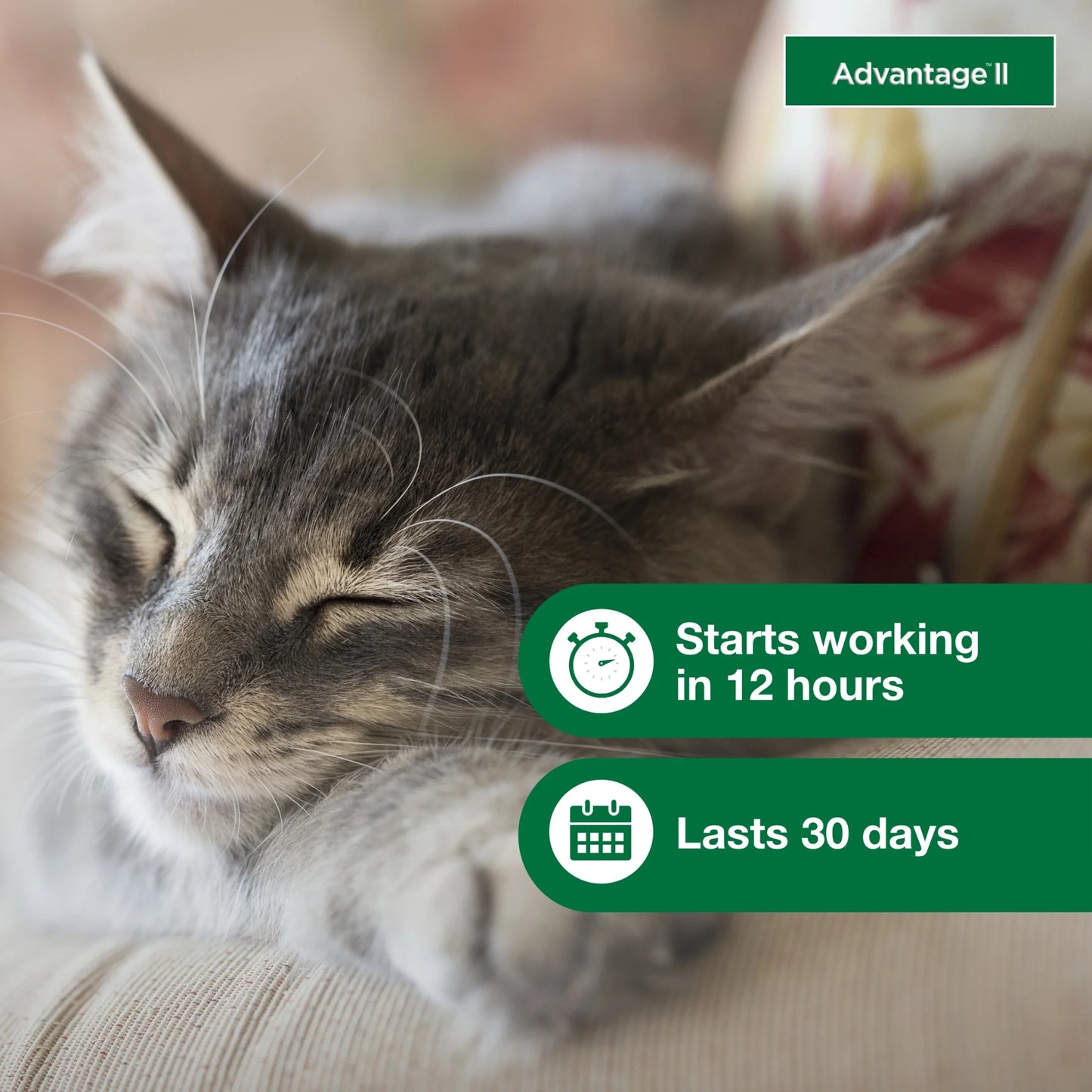 (2 Pack)  Vet-Recommended Flea Prevention for Small Cats 5-9 Lbs, 6-Monthly Treatments