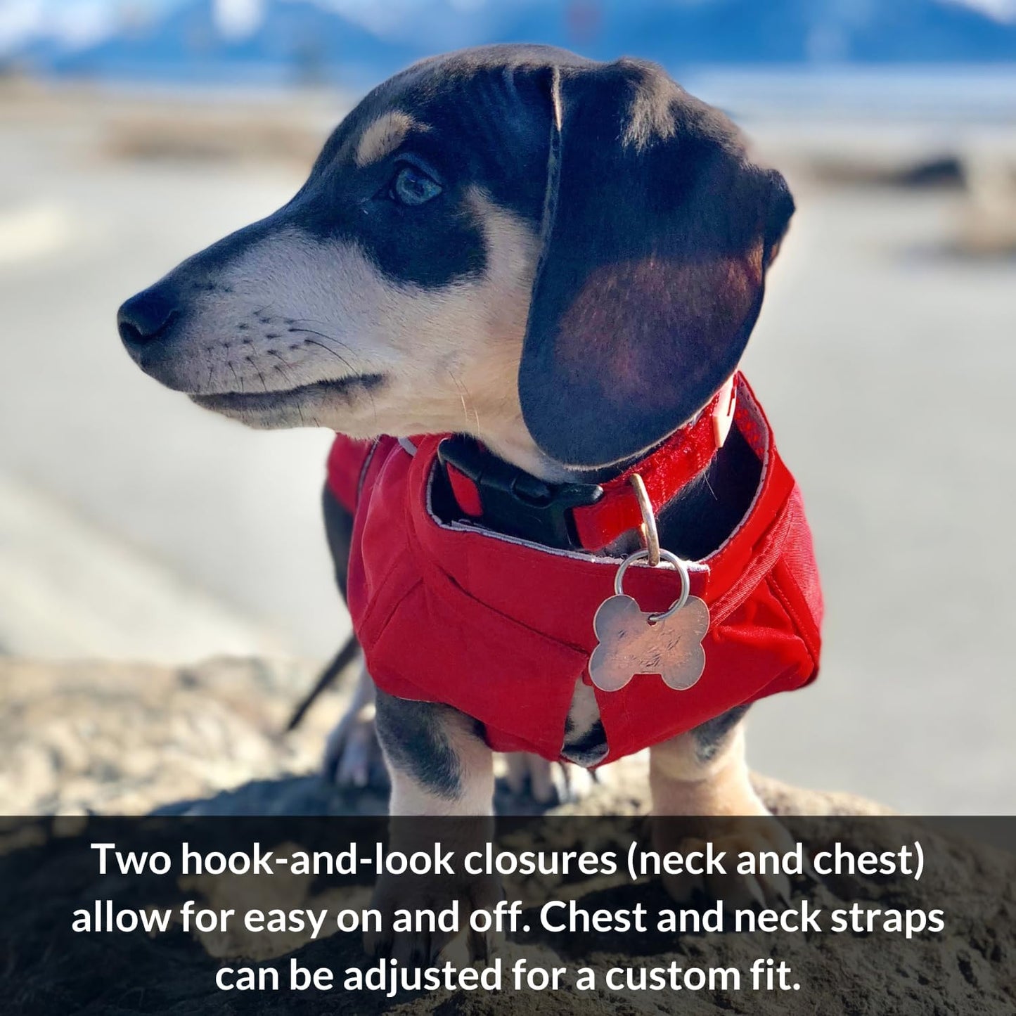 Dog Jacket & Raincoat – Lightweight Water-Resistant Coat for Small, Medium & Long Dogs like Dachshunds – Reflective, Adjustable Fit, Harness-Compatible & Easy-Access Harness Hole - Red, Small