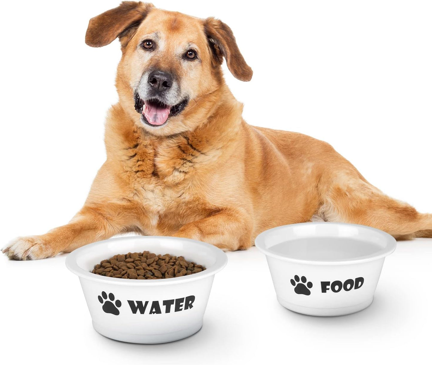 Set of 2 Ceramic Dog Cat Bowl Set, Pet Porcelain Food and Water Feeder Dish Bowls with anti Slip Band, Dishwasher and Microwave Safe (Medium)