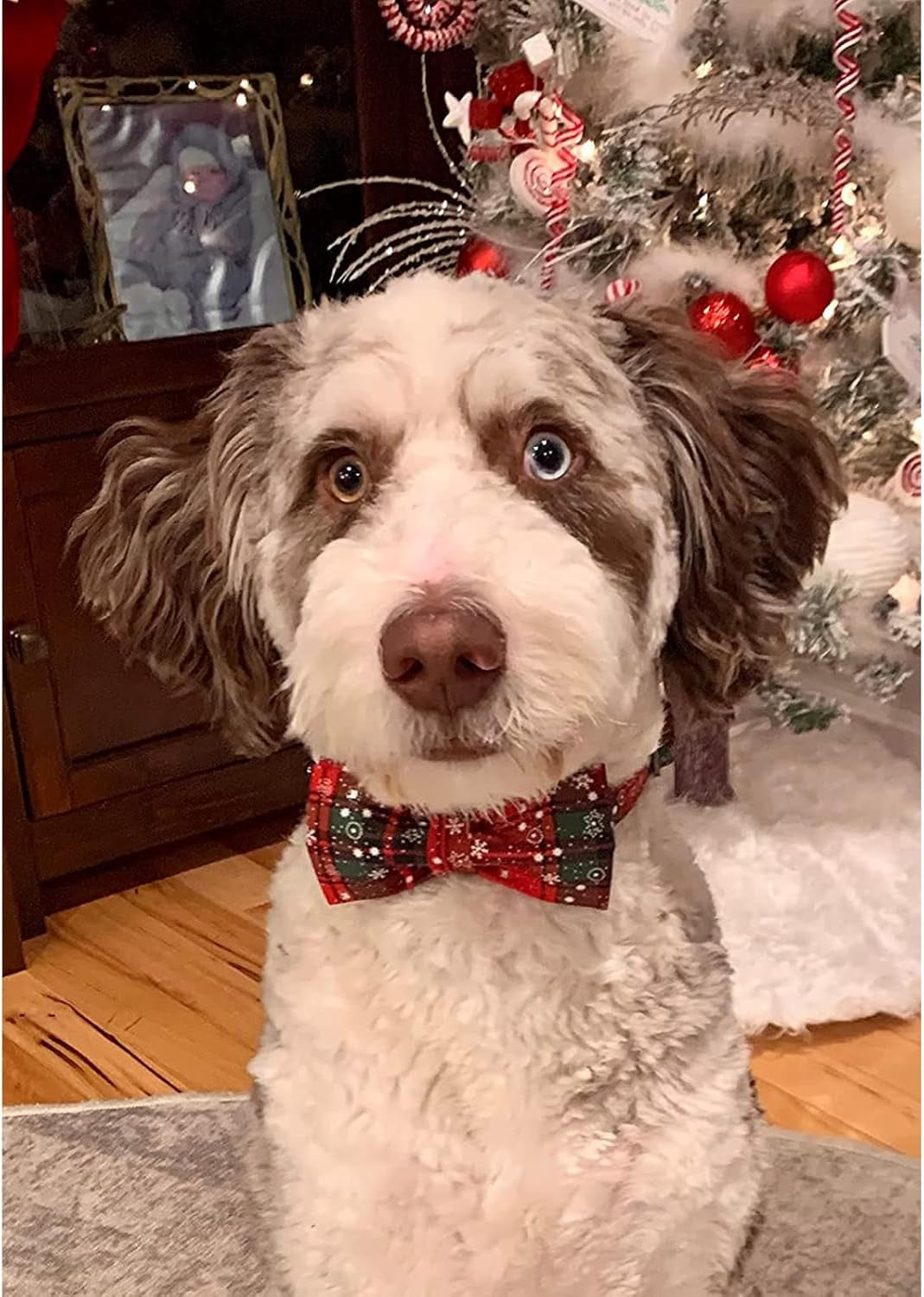 Christmas Plaid Dog Collar Adjustable Soft Dog Collar with Bowtie, Pet Gift Dog Collars Bow for Small Medium Large Dogs