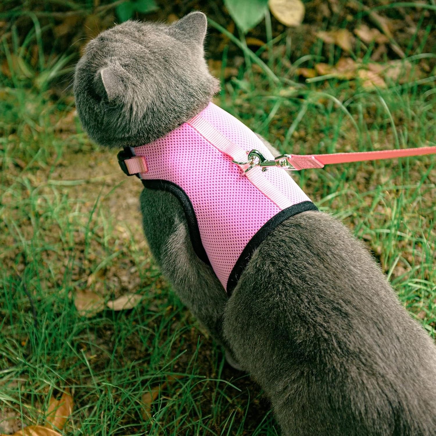 Soft Mesh Cat Vest Harness and Leash Set Puppy Padded Pet Harnesses Escape Proof for Cats Small Dogs (Small, Pink)