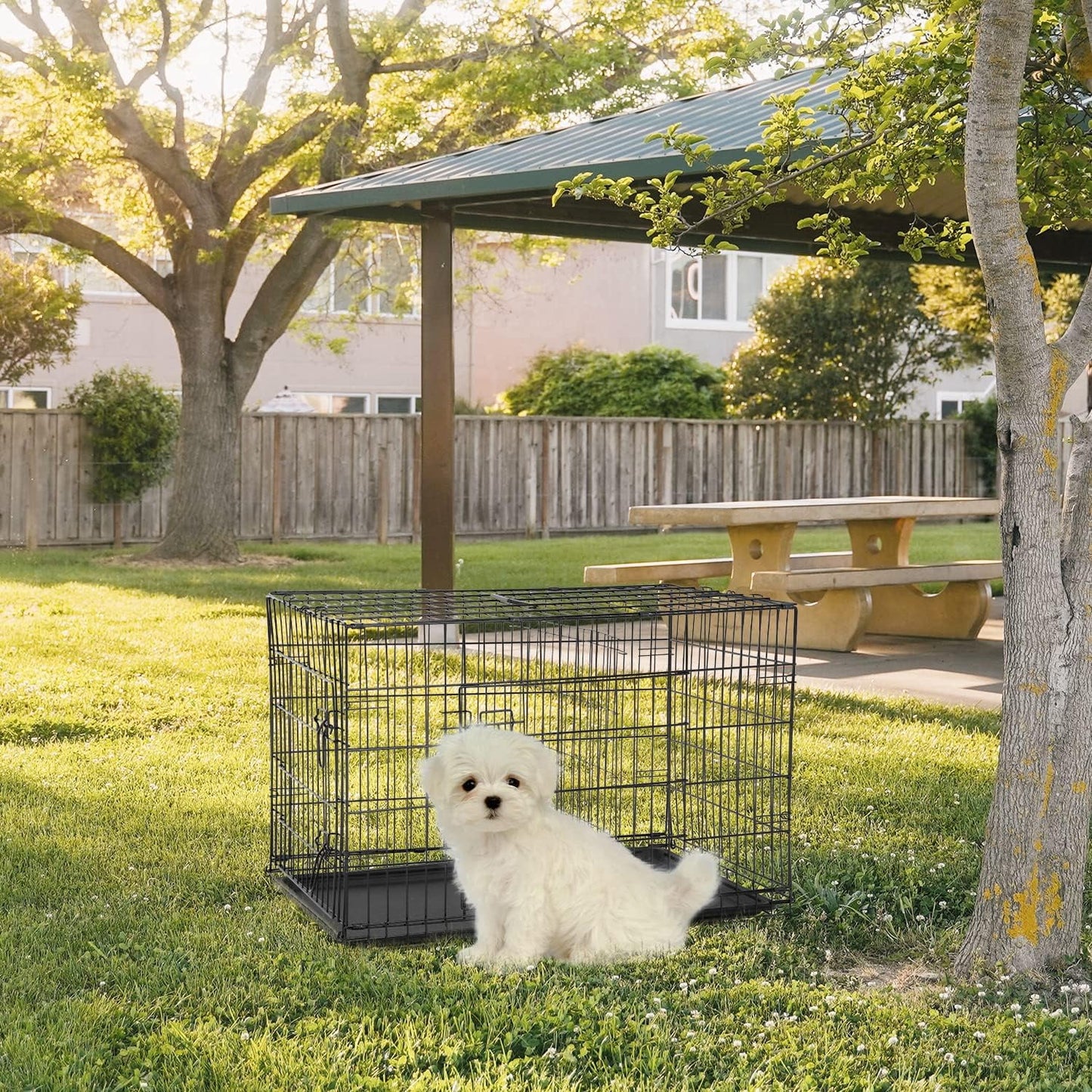 24 Inch Foldable Metal Dog Crate for Small Dogs, Double Door, Divider, Removable Tray(Black)