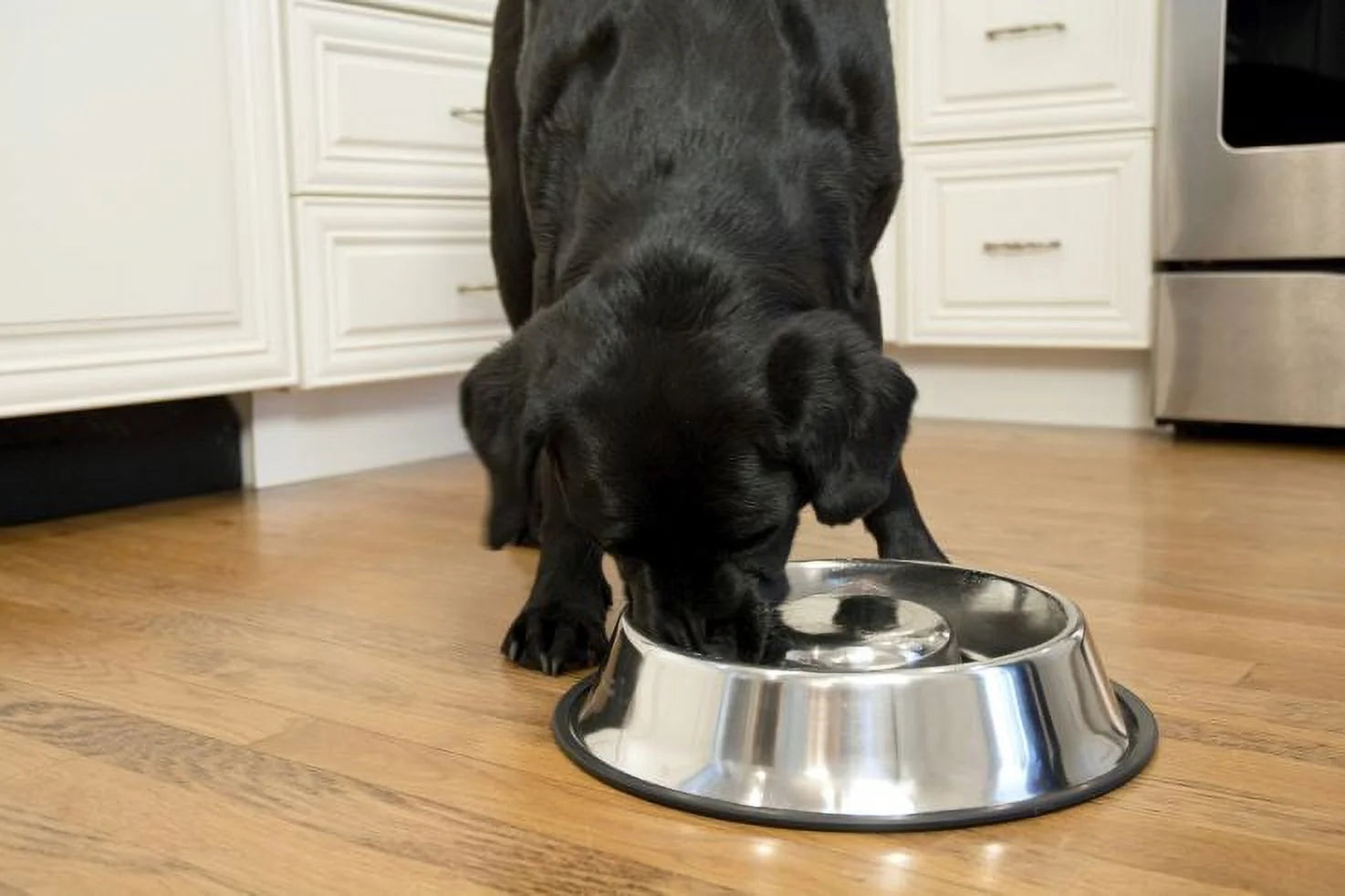 2-Pack Slow Feed Stainless Steel Pet Bowl for Dog or Cat, Medium, 24 Oz