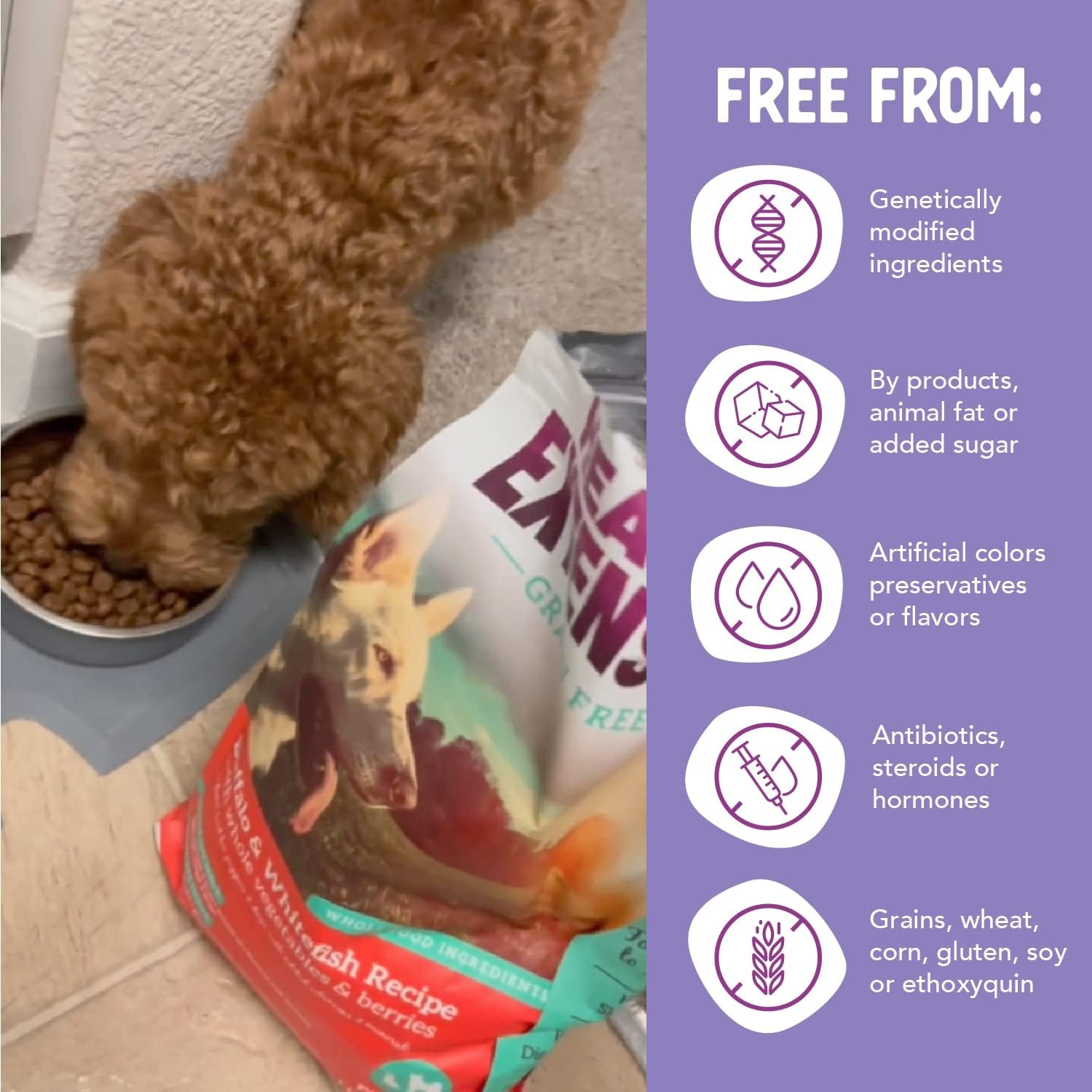 Grain Free Buffalo & Whitefish Dry Dog Food - 30+ Superfoods and Probiotics for All Life Stages (10Lb)