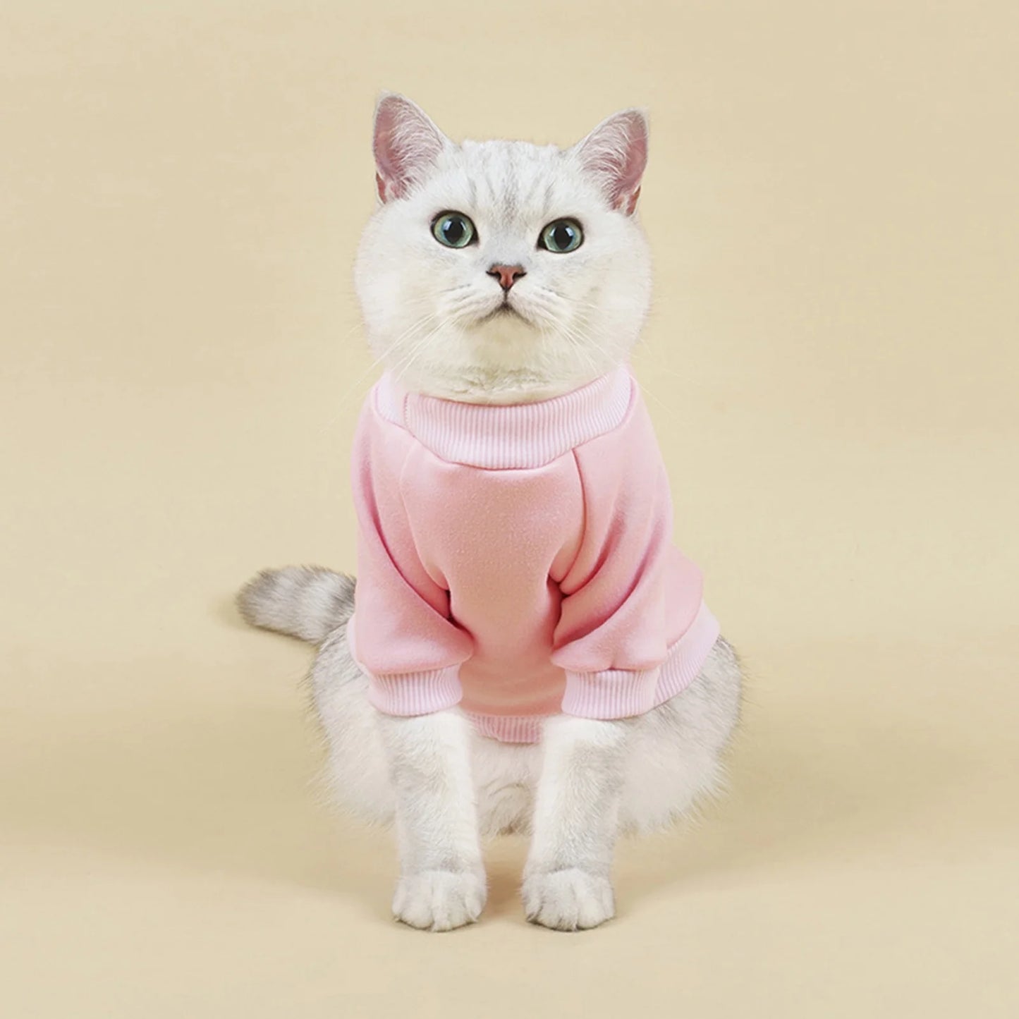 Dog Sweaters for Small Dogs, Cute Dog Clothes Classic Warm Pet Sweaters for Dogs Girls Boys, Cat Sweater Dog Sweatshirt Winter Coat Apparel for Small Dog Puppy Kitten Cat(Blue, XL)