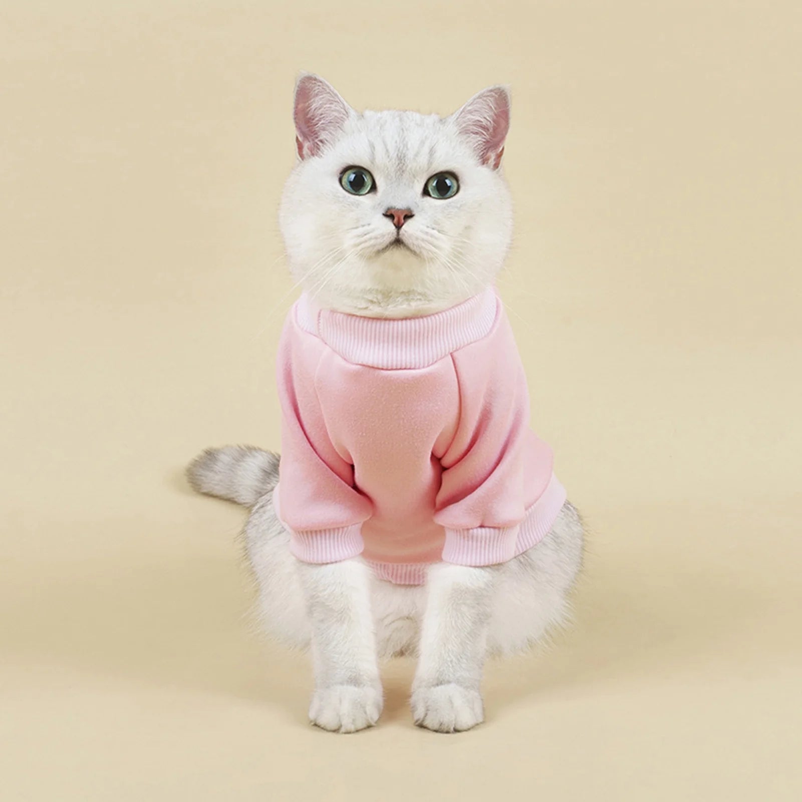 Dog Sweaters for Small Dogs, Cute Dog Clothes Classic Warm Pet Sweaters for Dogs Girls Boys, Cat Sweater Dog Sweatshirt Winter Coat Apparel for Small Dog Puppy Kitten Cat(Blue, XL)