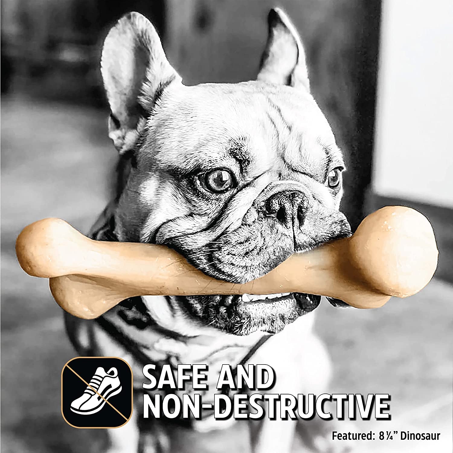 Dinosaur Barkbone - Nylon Dog Bone for Aggressive Chewers - Bacon Flavor - 6.5"