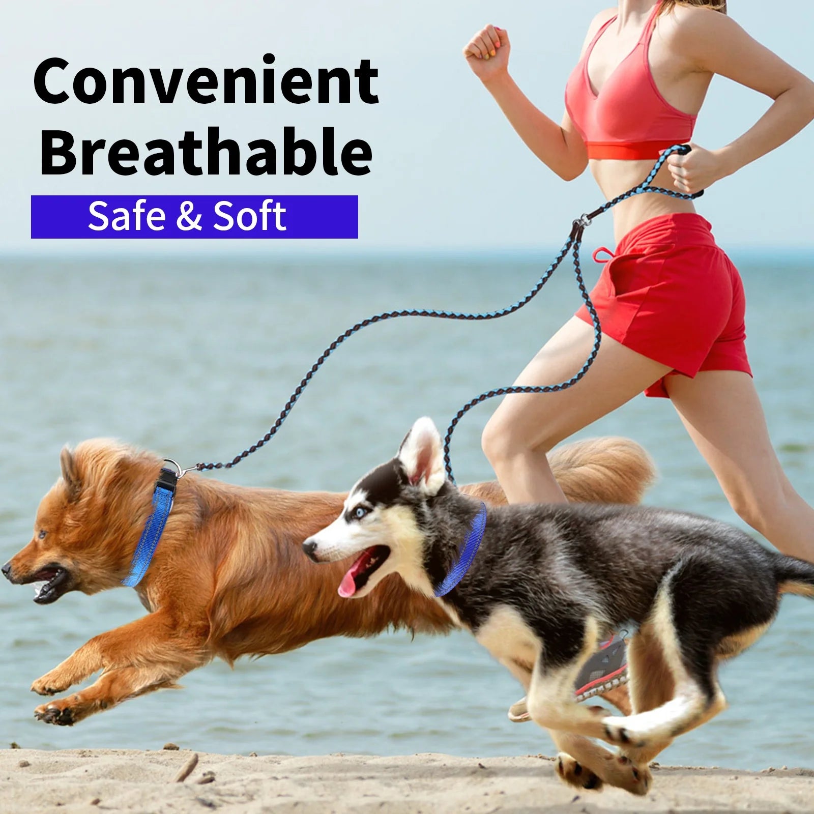 Dog Collar for Small Dog with Tag Reflective Soft Neoprene Padded Breathable and Adjustable Collar, Odour Resistant and Fast Drying-Blue-S