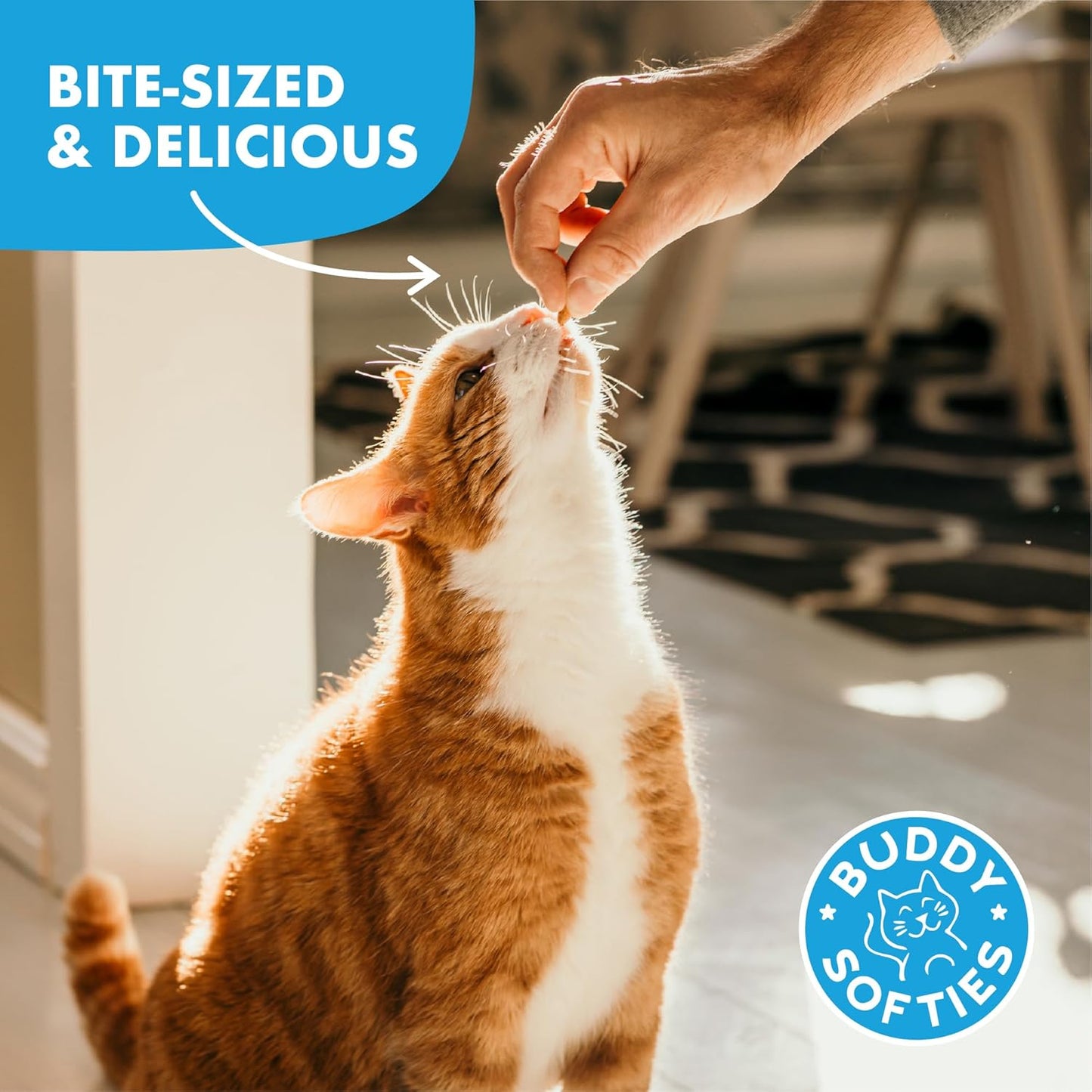 3 Oz Pouch of Grain Free Soft & Chewy Cat Treats Made with Natural Tender Chicken
