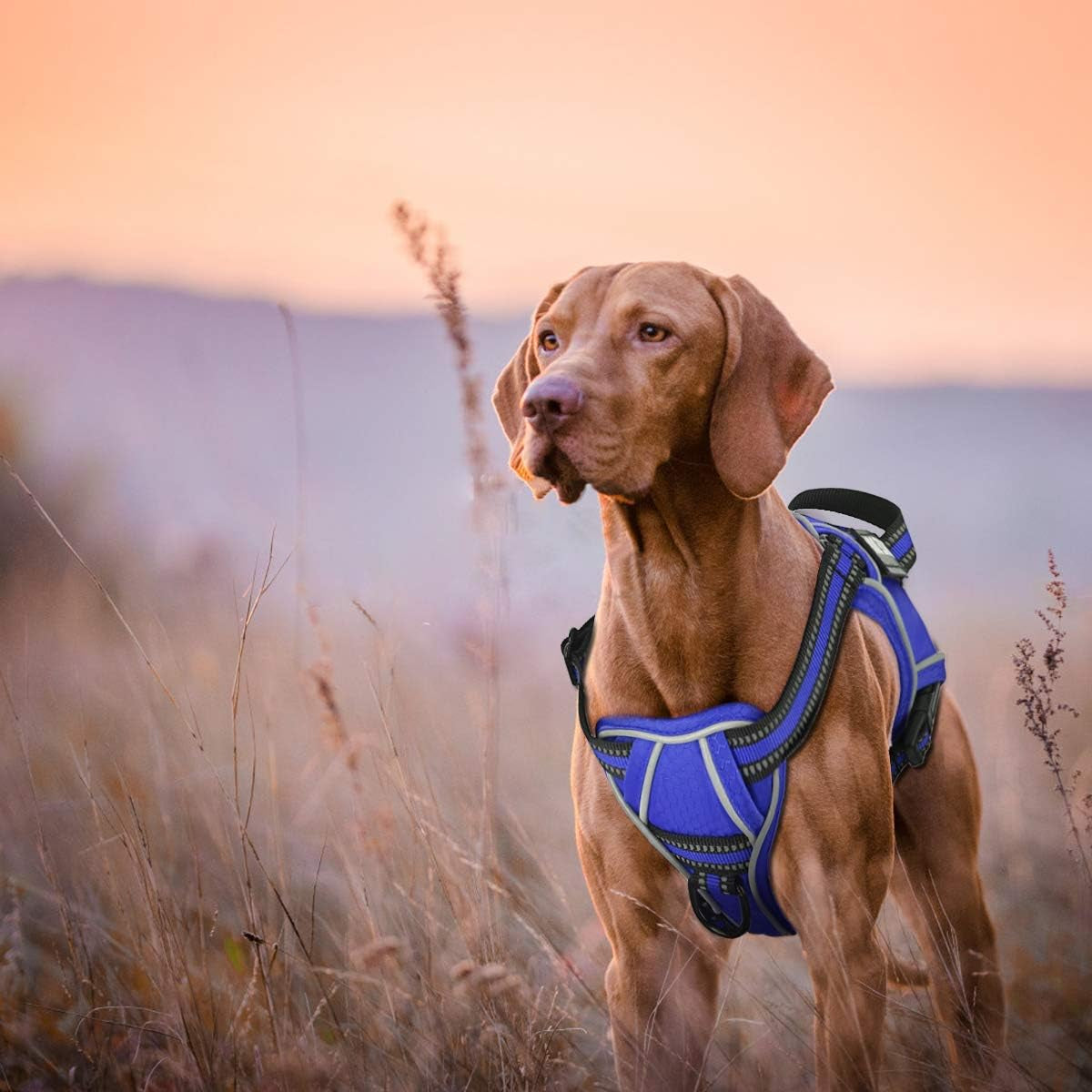 Service Dog Harness, Easy on and off over Head Dog Vest Harness Fasten Quickly, Breathable and 3M Reflective Adjustable Pet Halters with Easy Control Handle for Small Medium Large Dogs