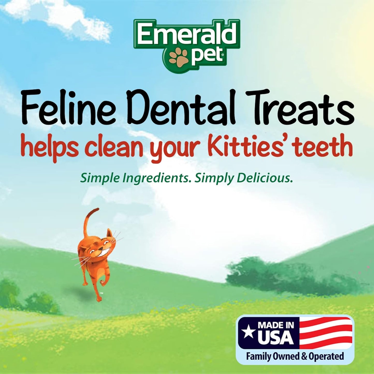 Cat Dental Treat Tub Salmon