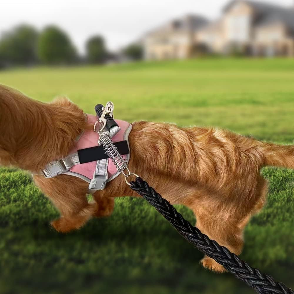 2-Pack Dog Leash Shock Absorber Spring, 300LB Heavy Duty Metal Spring Buckle - Anti-Pull Tension Relief for Large Dogs, Prevent Arm Strain & Neck Injury, Waterproof Rustproof (Fit All Leashes)