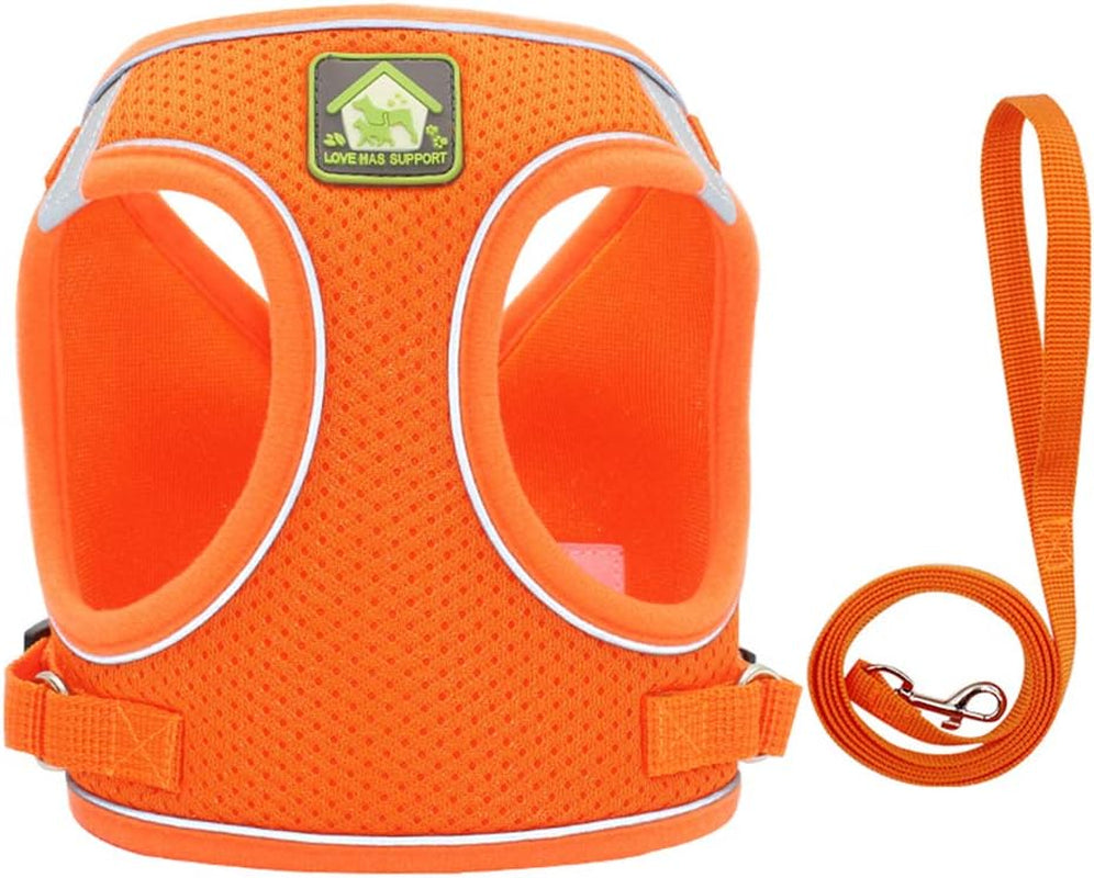 Dog Harness and Leash Set, No Pull Breathable Soft Mesh Puppy Vest Harness Reflective Adjustable Pet Harnesses for Small Medium Dogs and Cats - Outdoor Easy Control for Walking