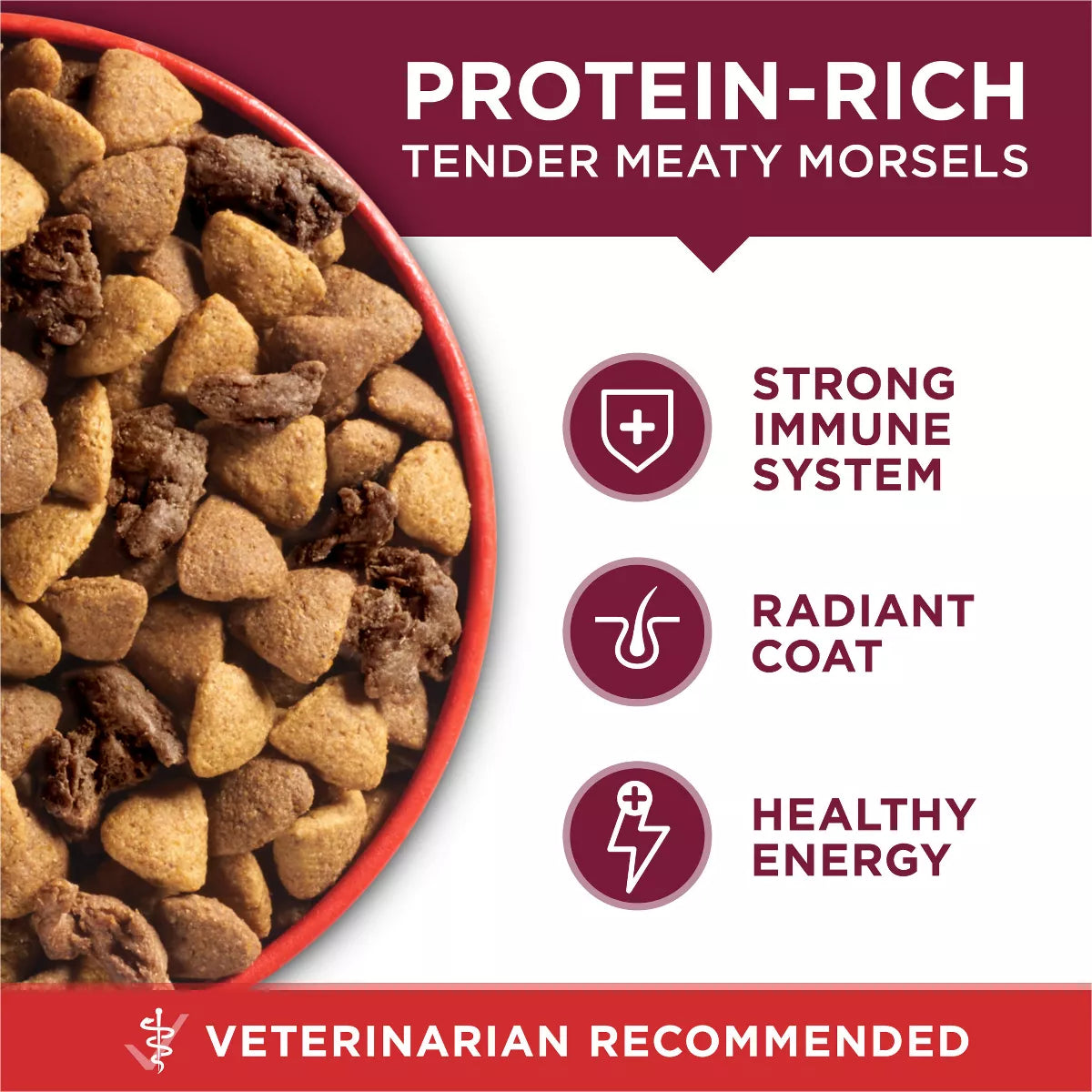 Purina ONE Smartblend Small Bites Beef & Rice Formula Adult Dry Dog Food