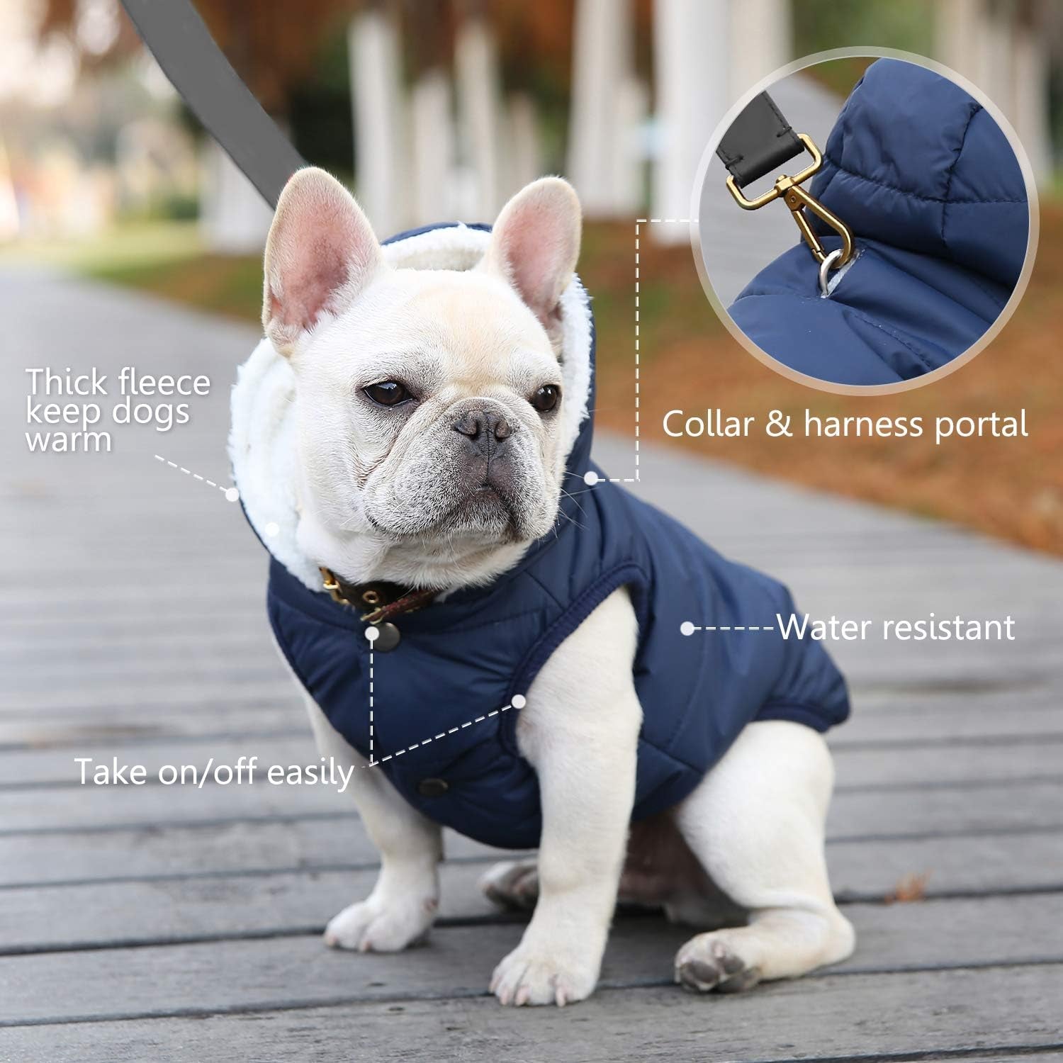 Fleece Hoodie, Windproof Waterproof Coat, Winter Warm Jacket, Cold Weather Pet Apparel Clothes Vest for Small Medium Large Dogs (M, Blue)