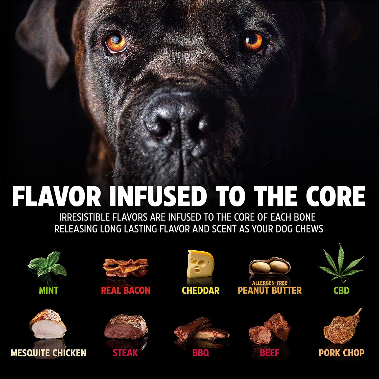 Dinosaur Barkbone - Nylon Dog Bone for Aggressive Chewers - Bacon Flavor - 6.5"