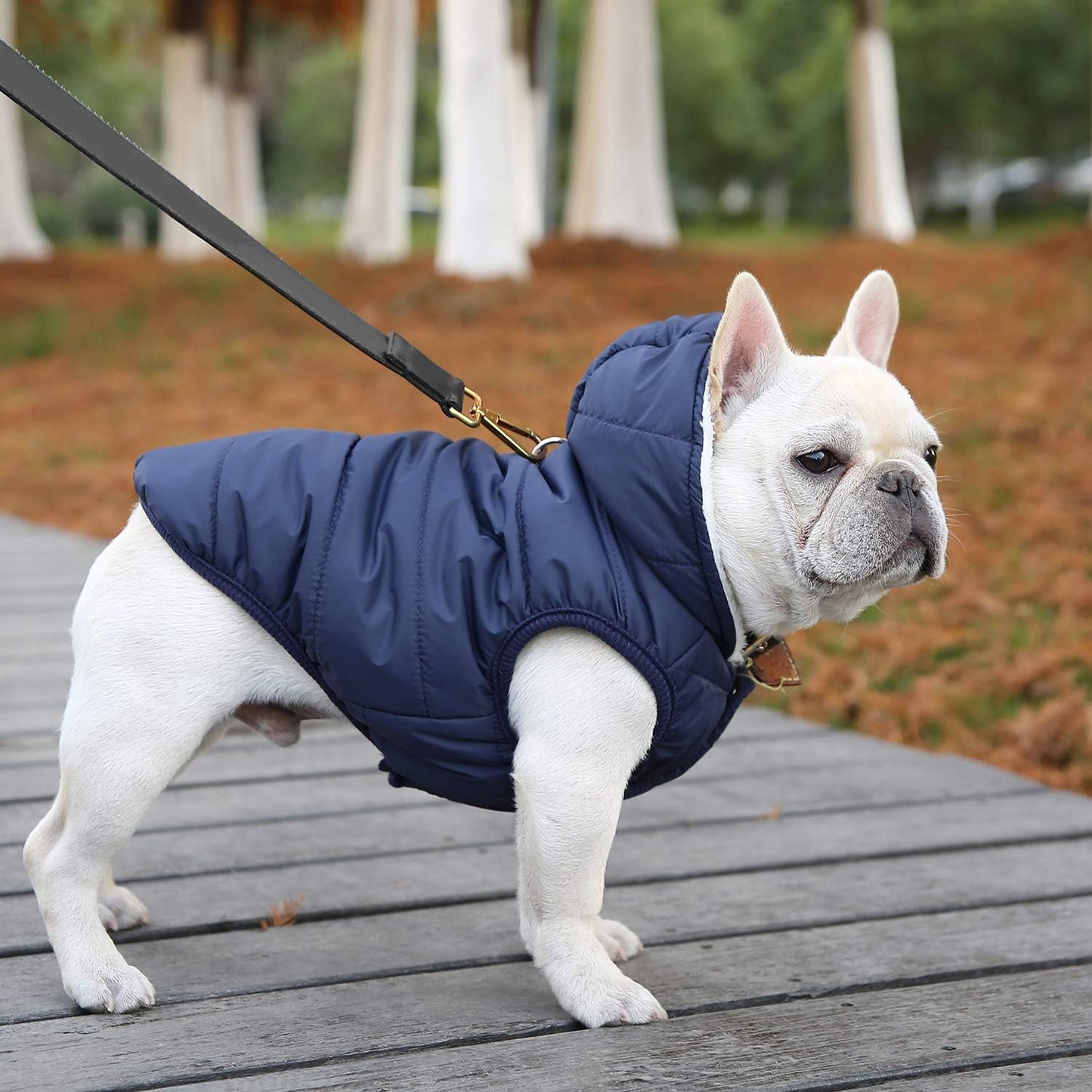 Fleece Hoodie, Windproof Waterproof Coat, Winter Warm Jacket, Cold Weather Pet Apparel Clothes Vest for Small Medium Large Dogs (M, Blue)