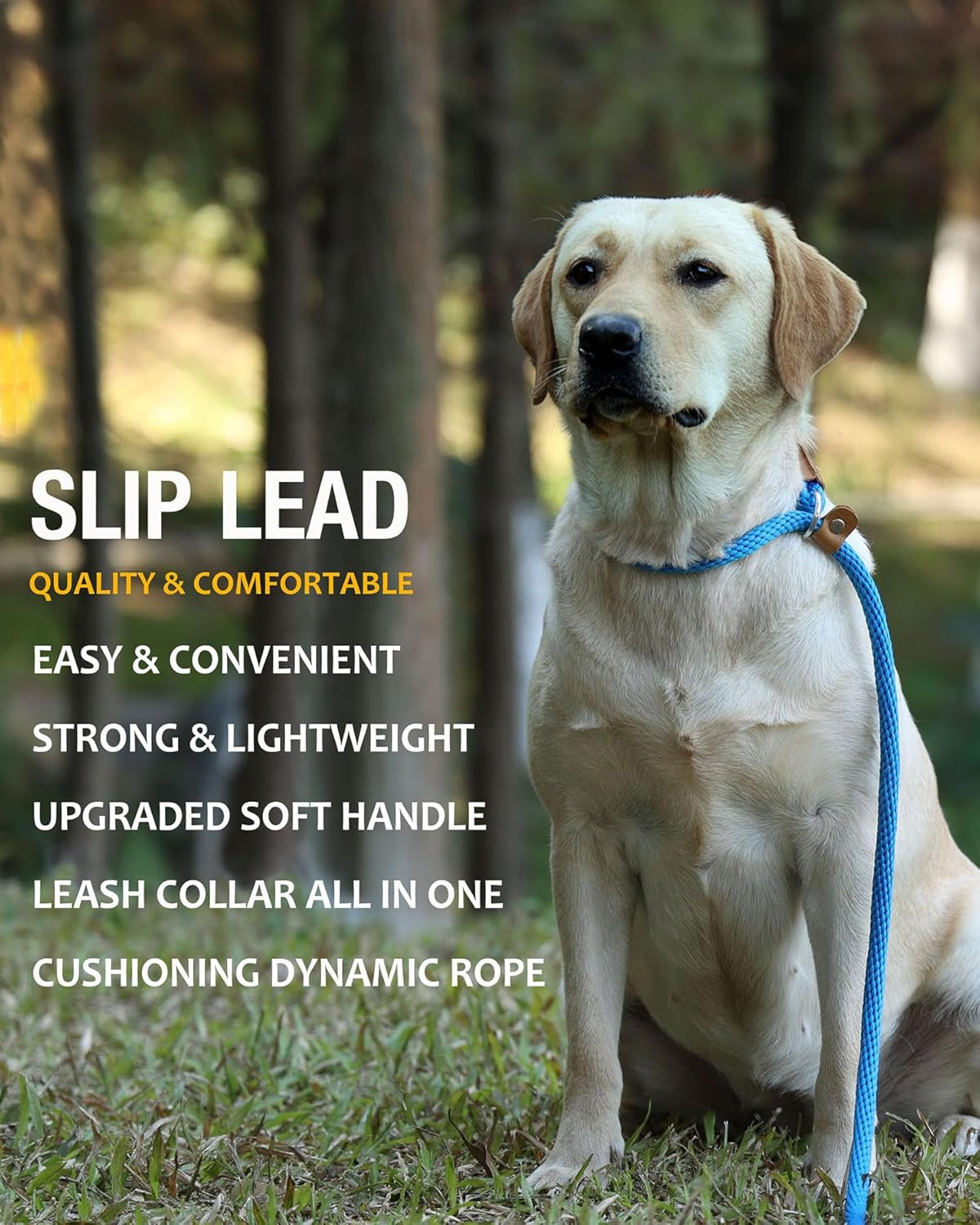Dog Leash Slip Lead 5 6 8 FT Dog Training Leash Strong Heavy Duty Braided No Pull Training Lead Leashes for Small Medium Large Dogs
