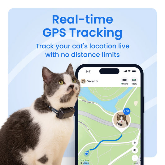Cat Mini GPS Tracker with Activity Monitoring, Fits Any Collar (Brown)