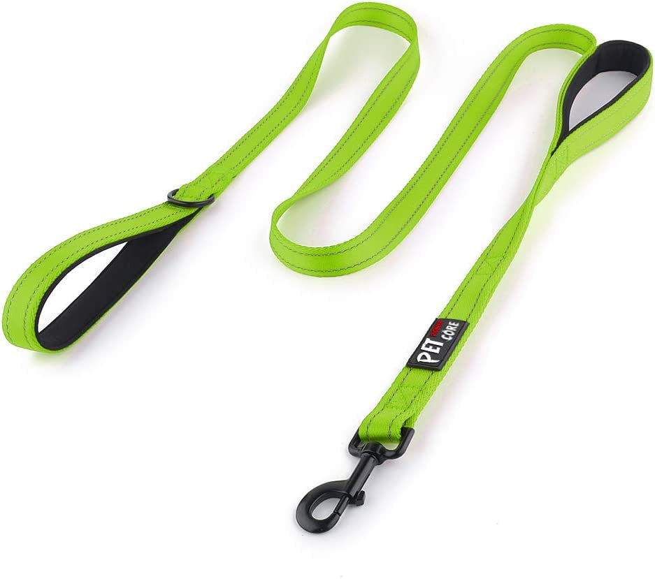 Double Handle Dog Leash 6Ft Long, Padded 2 Handle, Heavy Duty, Reflective Training Leash for Medium Large Dogs, Dual Handle Lead (Green)