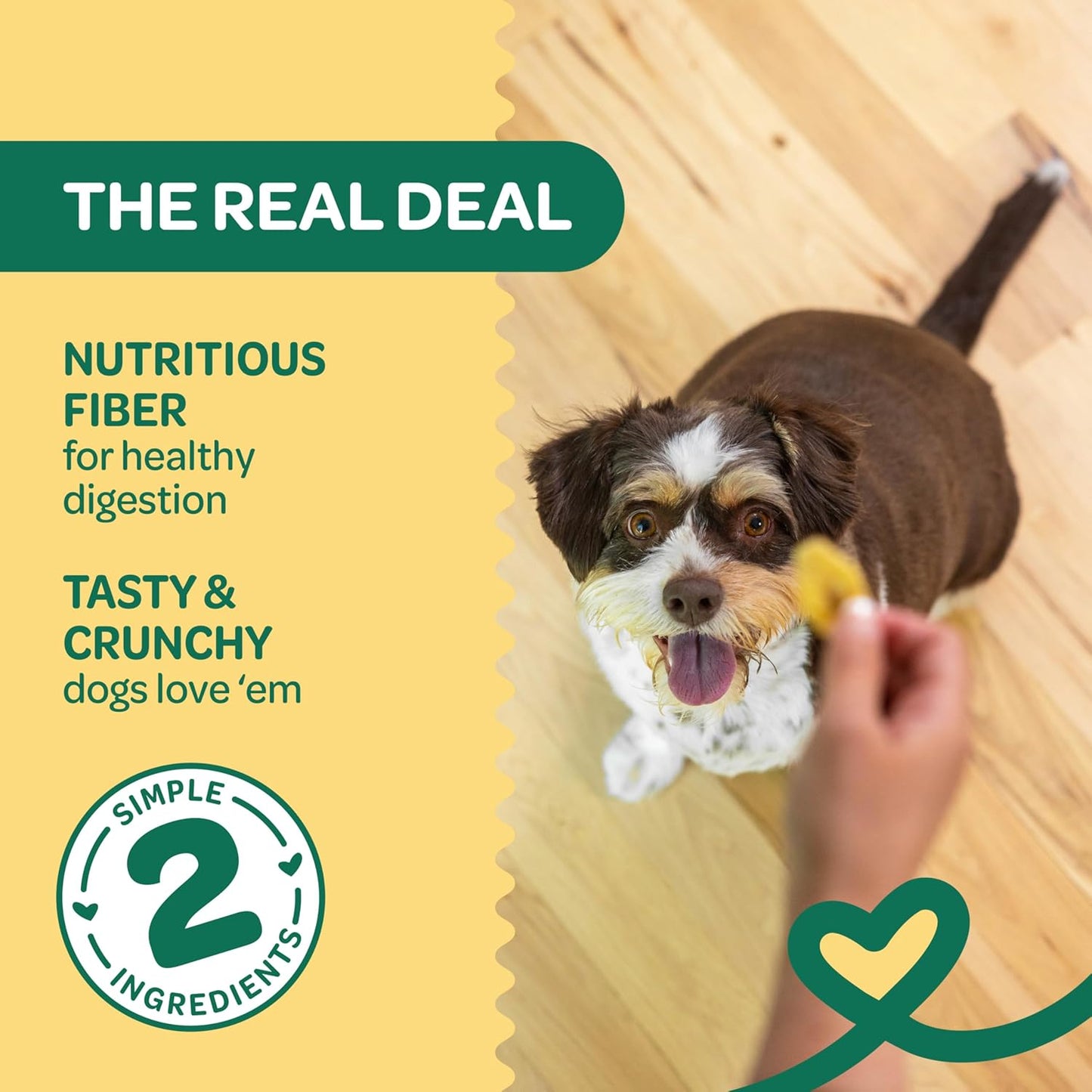 Banana Bites Dog Treats – 2-Ingredient Banana Chips for Dogs, Grain-Free, Banana & Coconut Oil, 8 Oz