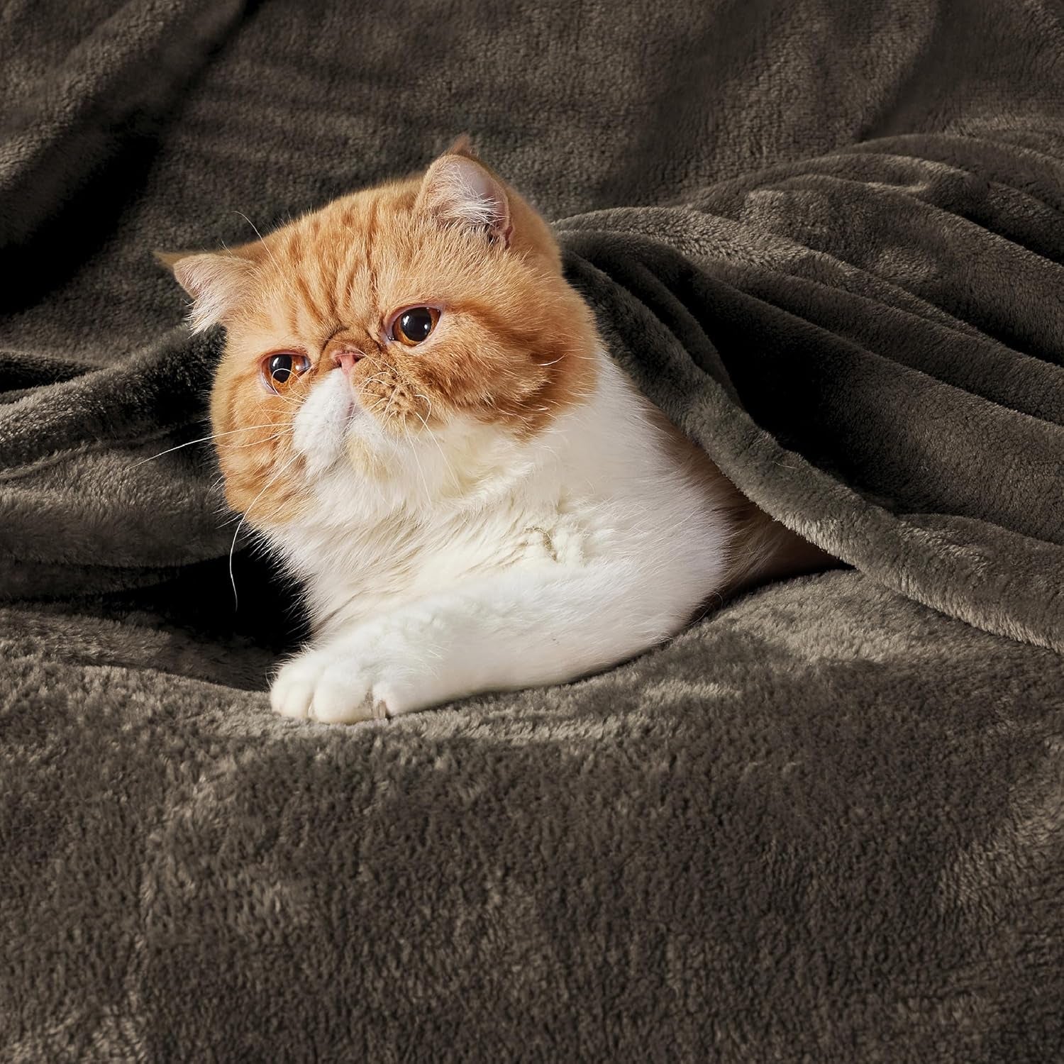 Gentlesoft Fleece Throw Blanket Brown - 300GSM Blankets for Couch, Sofa, Bed, Soft Lightweight Plush Cozy Throws for Toddlers, 50X60 Inches