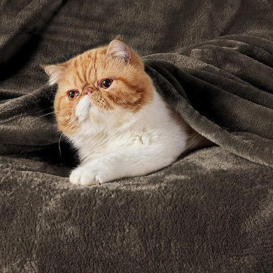 Gentlesoft Fleece Throw Blanket Brown - 300GSM Blankets for Couch, Sofa, Bed, Soft Lightweight Plush Cozy Throws for Toddlers, 50X60 Inches