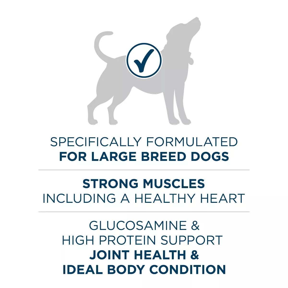 Purina ONE Smartblend Large Breed Chicken Flavor Natural Dry Dog Food