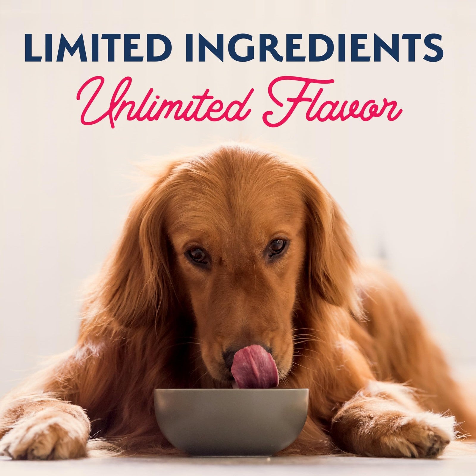 Natural Balance Limited Ingredient Adult Wet Canned Dog Food with Healthy Gra...