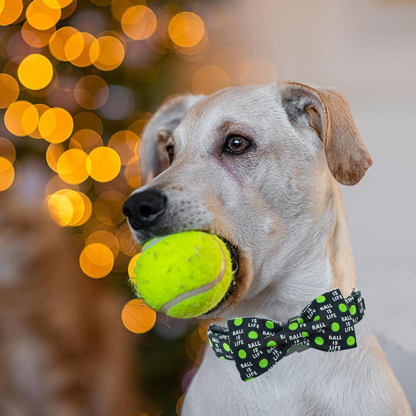 Balls Print Summer Dog Collar with Bow Tie - Cute Bowtie Collar for Small, Medium & Large Dogs