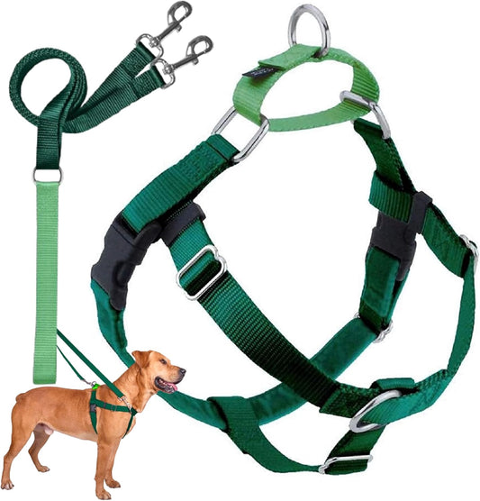 Freedom No Pull Dog Harness, Adjustable Harness and Leash Set, Easy Walking & Comfortable Control, Fits Small, Medium & Large Dogs, Solid Colors, Made in USA, 5/8" MD, Kelly Green