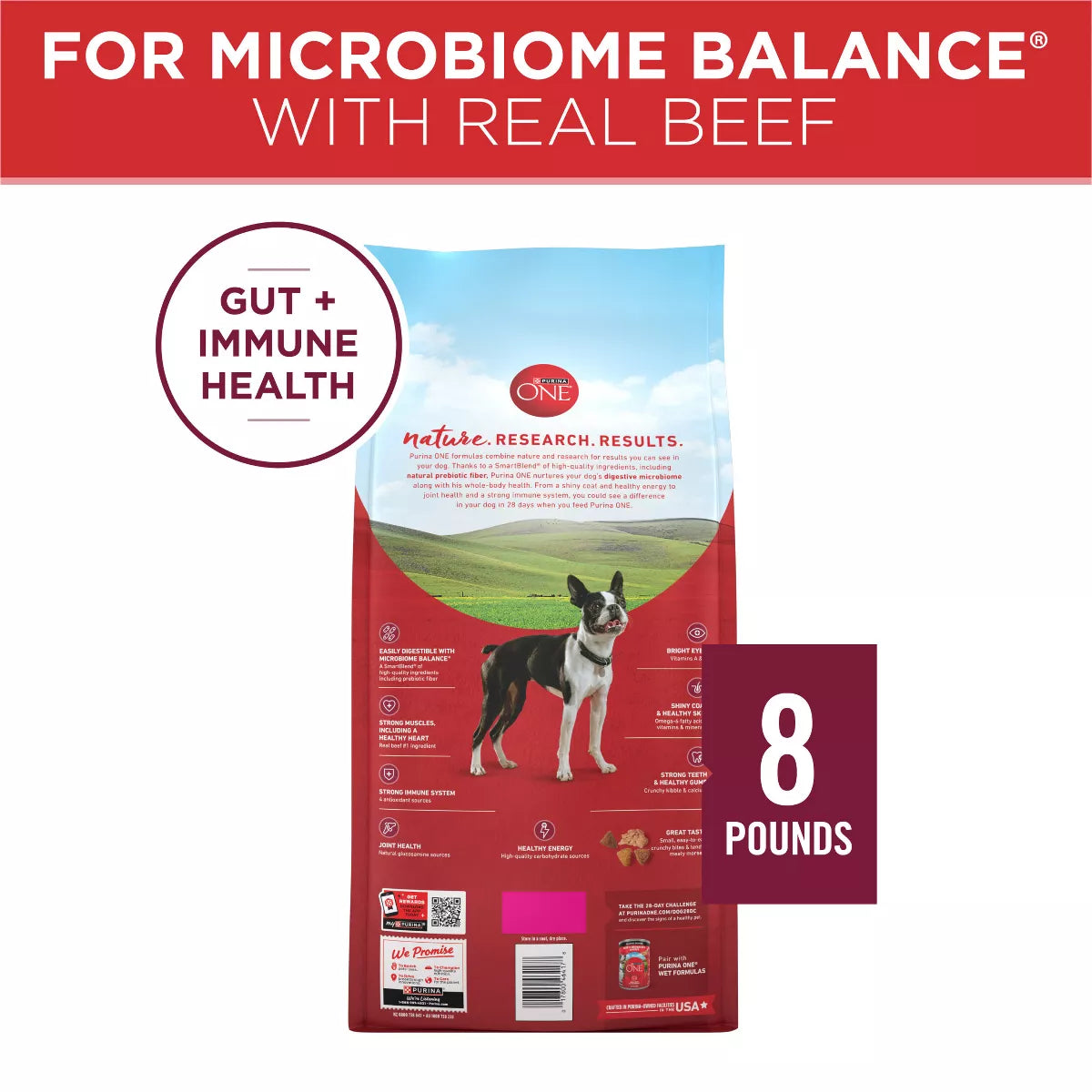 Purina ONE Smartblend Small Bites Beef & Rice Formula Adult Dry Dog Food