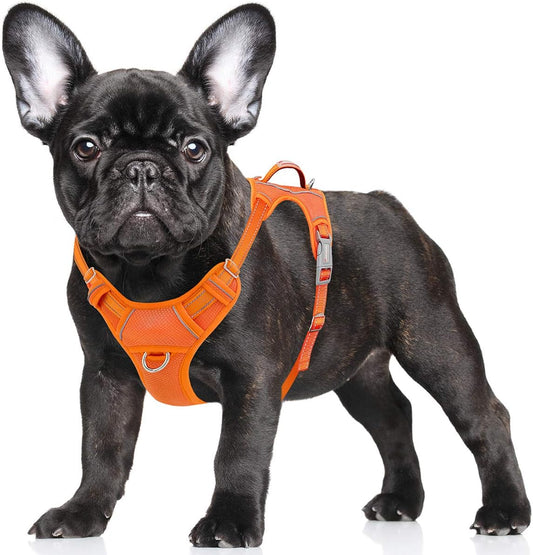 No Pull Dog Harness Large Reflective Dog Harness with Front Clip and Easy Control Handle for Walking Training Running with ID Tag Pocket(Orange,S)