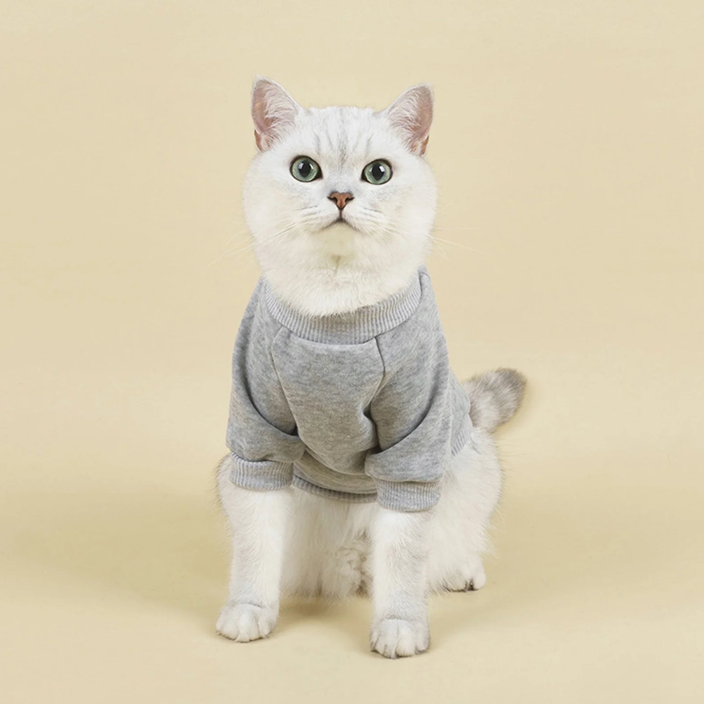 Dog Sweaters for Small Dogs, Cute Dog Clothes Classic Warm Pet Sweaters for Dogs Girls Boys, Cat Sweater Dog Sweatshirt Winter Coat Apparel for Small Dog Puppy Kitten Cat(Blue, XL)