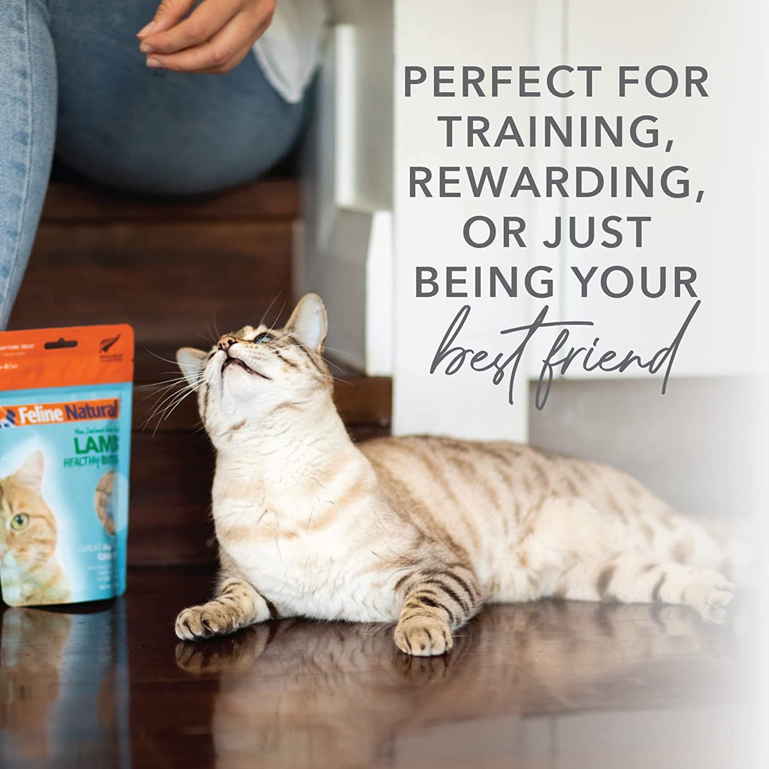 Freeze Dried Cat Treats – New Zealand Single-Source Protein Treats for Cats - Grain-Free Healthy Cat Snacks, Lamb Bites, 1.76Oz