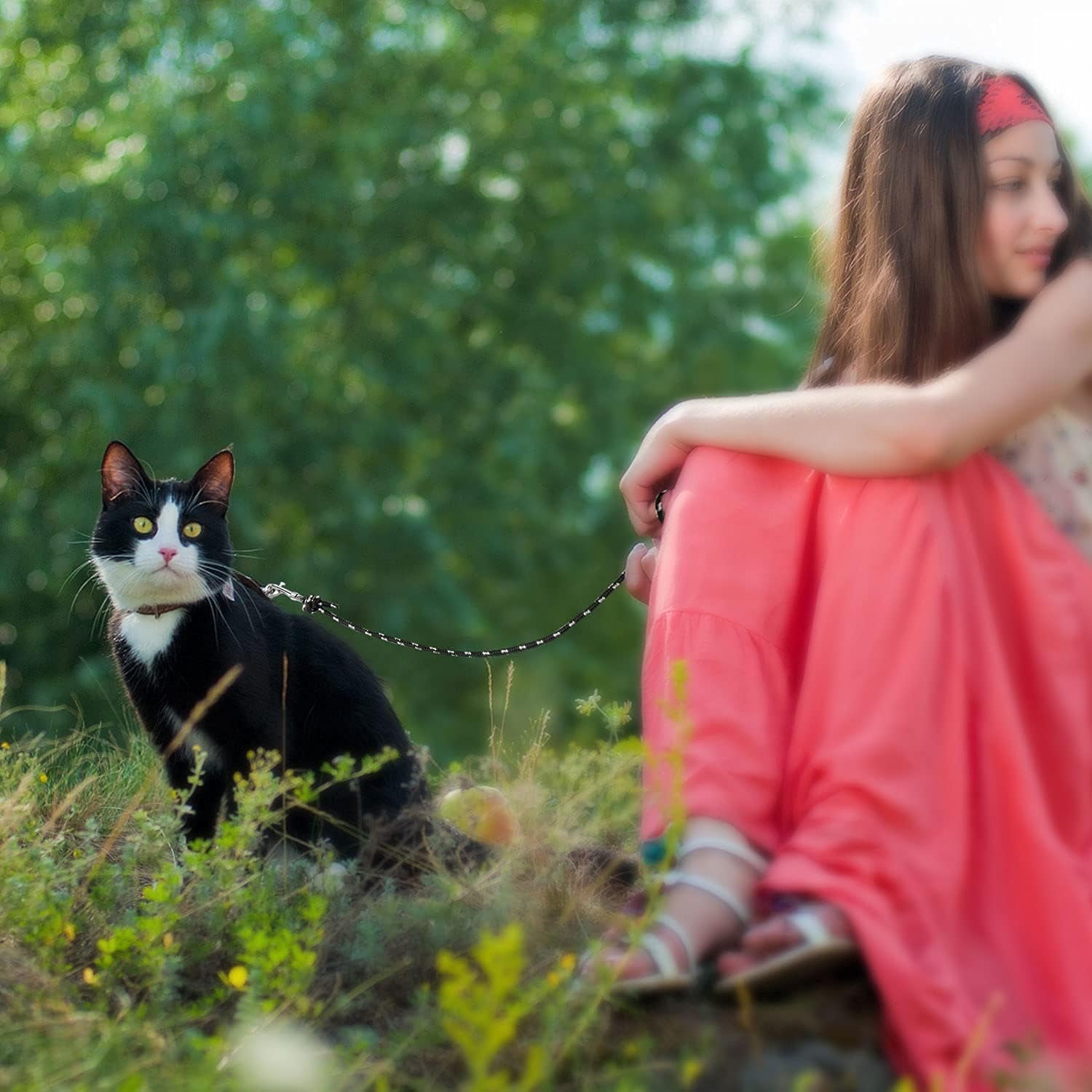 Reflective Cat Long Leash - 15 FT Escape Proof Walking Leads Yard Long Lead Durable Safe Personalized Extender Leash Traning Play Outdoor for Kitten, Puppy, Rabbit and Small Animals