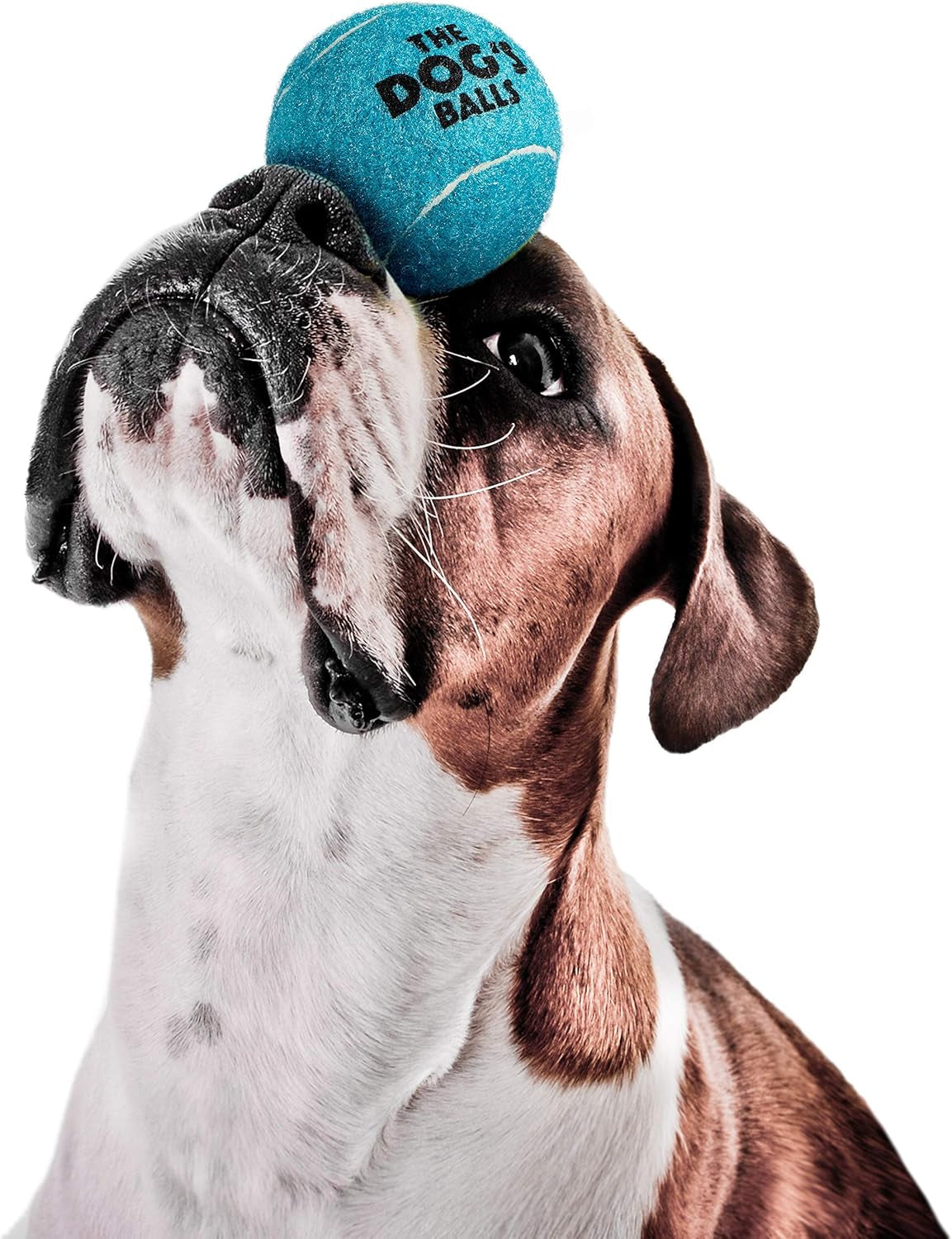 , Dog Tennis Ball, Blue 12-Pack, Strong Toy for Agility Training, Puppy Training, Play, Exercise & Fetch, 2.5 Inch Diameter