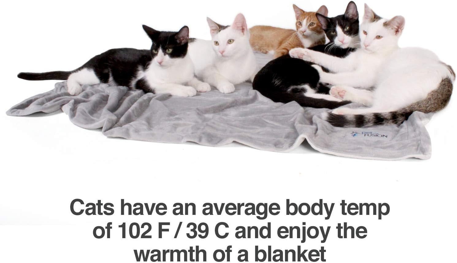 Premium Dog & Cat Blanket | Ultra Soft Pet Blanket Available in Plush or Quilted; 2 Colors (Grey; Brown) | Perfect for Small Dogs & Large Dogs