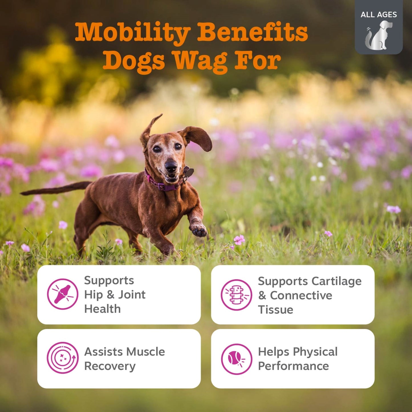 Vet Strength Hip & Joint Mobility Bites for Dogs, Supreme Hip & Joint Support, Beef & Bacon Flavor, 90 Count Soft Chews