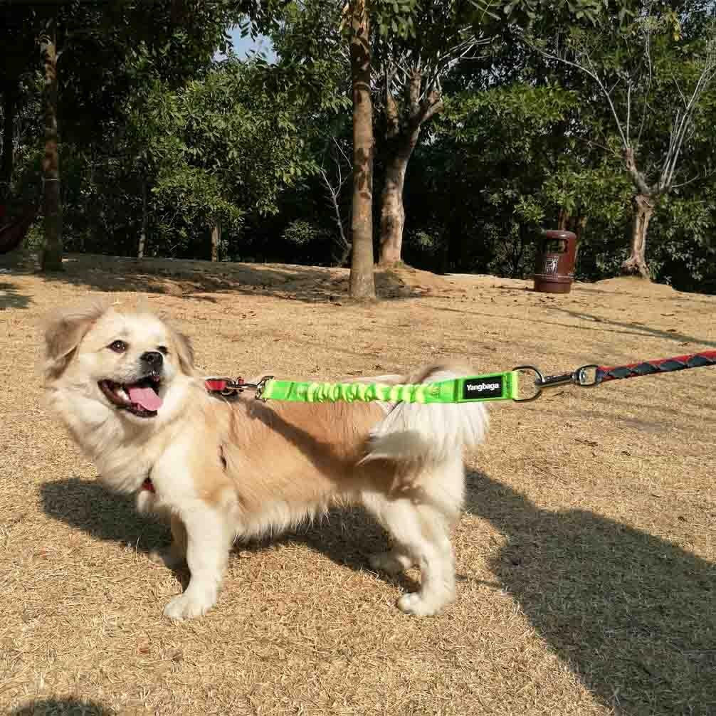 Dog Leash Extender, Shock Absorber Bungee Leash Attachment, Durable Nylon Dog Tie Out Extension with Stainless Steel Swivel Clips