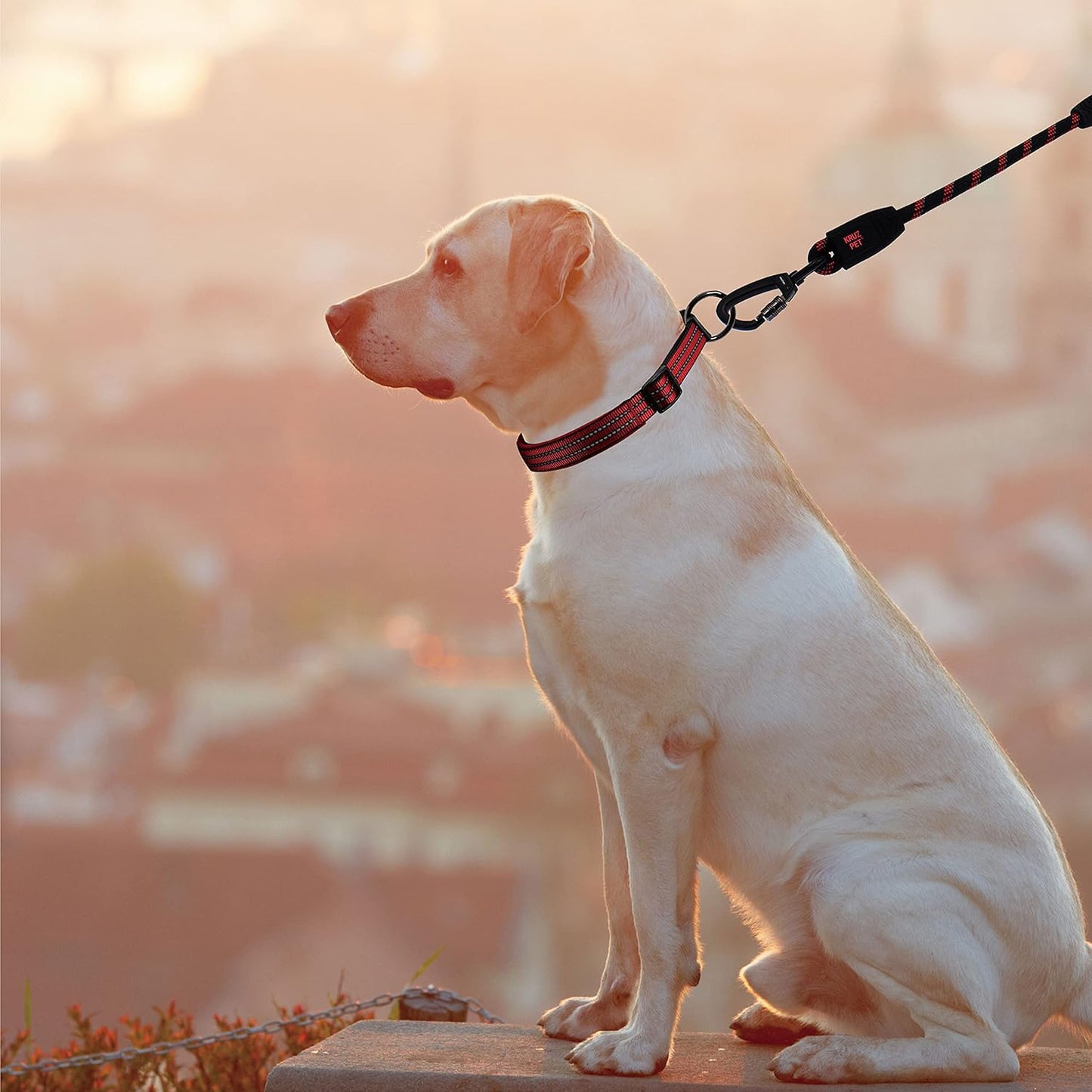KRUZ Dog Leash (Width - 1/2”, Length - 20 IN) Reflective Rope Lead with Soft Silicone Grip, Click & Lock Snap Lightweight Leash for Dogs, Durable & Tangle-Free for Walking, Running & Training - Orange