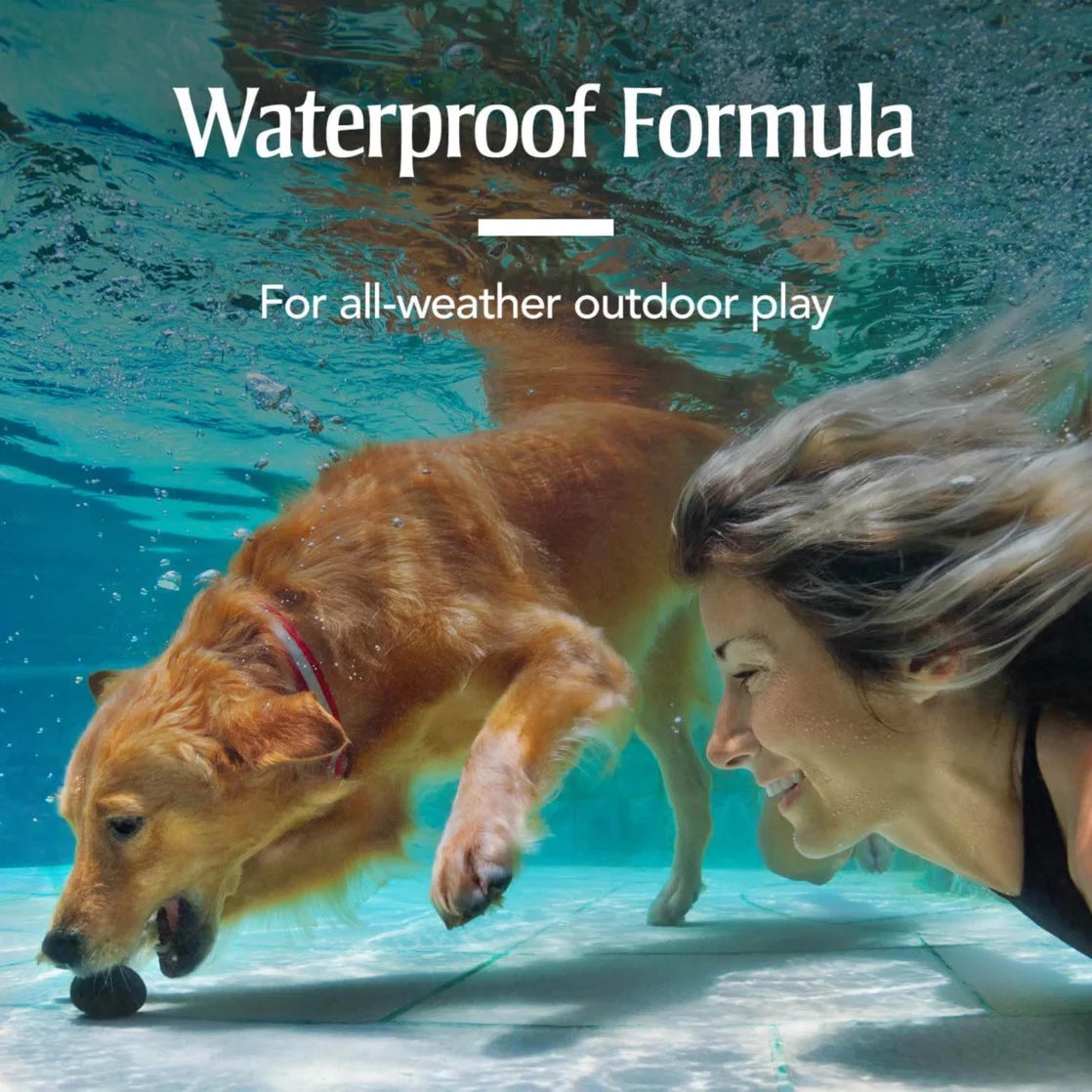 Flea & Tick Treatment for Small Dogs, 5 to 22 Lbs, 3 Monthly Applications