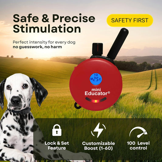 E-Collar ET-300 / ET-302 Dog Training Collar System with Remote - 1/2 Mile Range - Waterproof, Vibration, Sensation - Includes Eoutletdeals Pet Towel (1 Dog System - ET-300 RED)